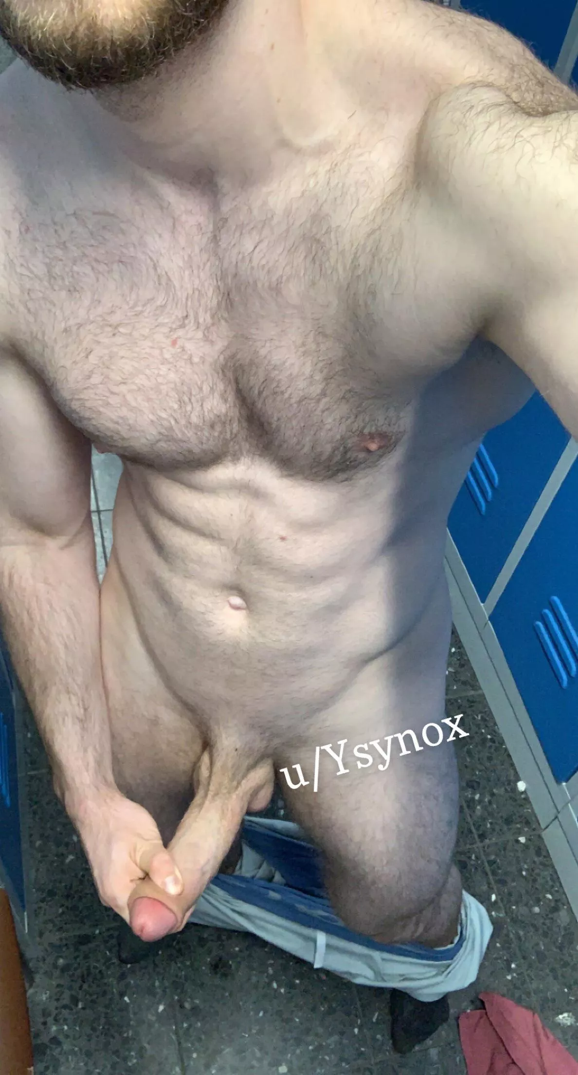 Who wants to try my Big German cock? posted by Ysynox