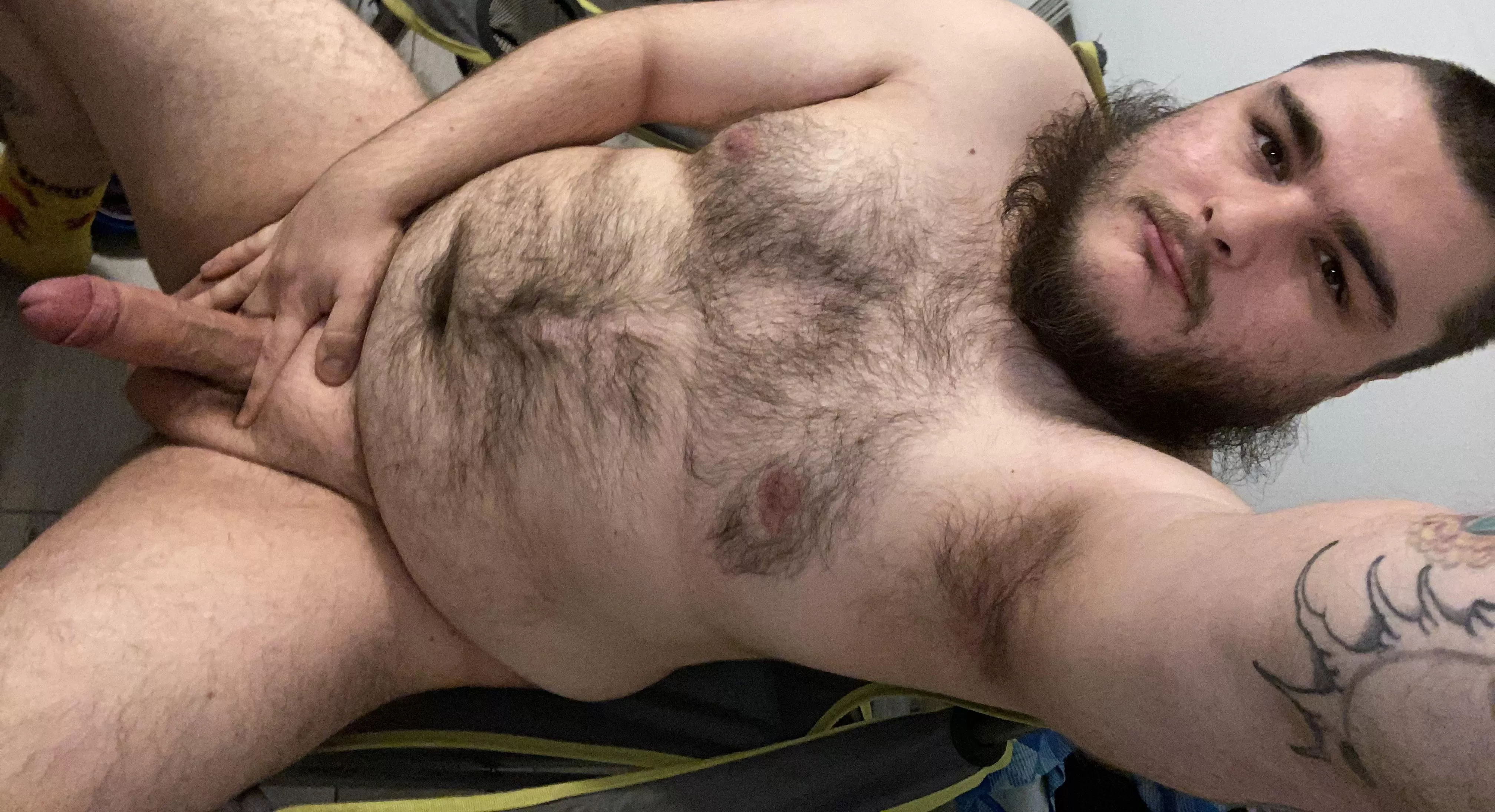 Who would like to take a chubby dudes virginity? posted by SomeBigHairyGuy