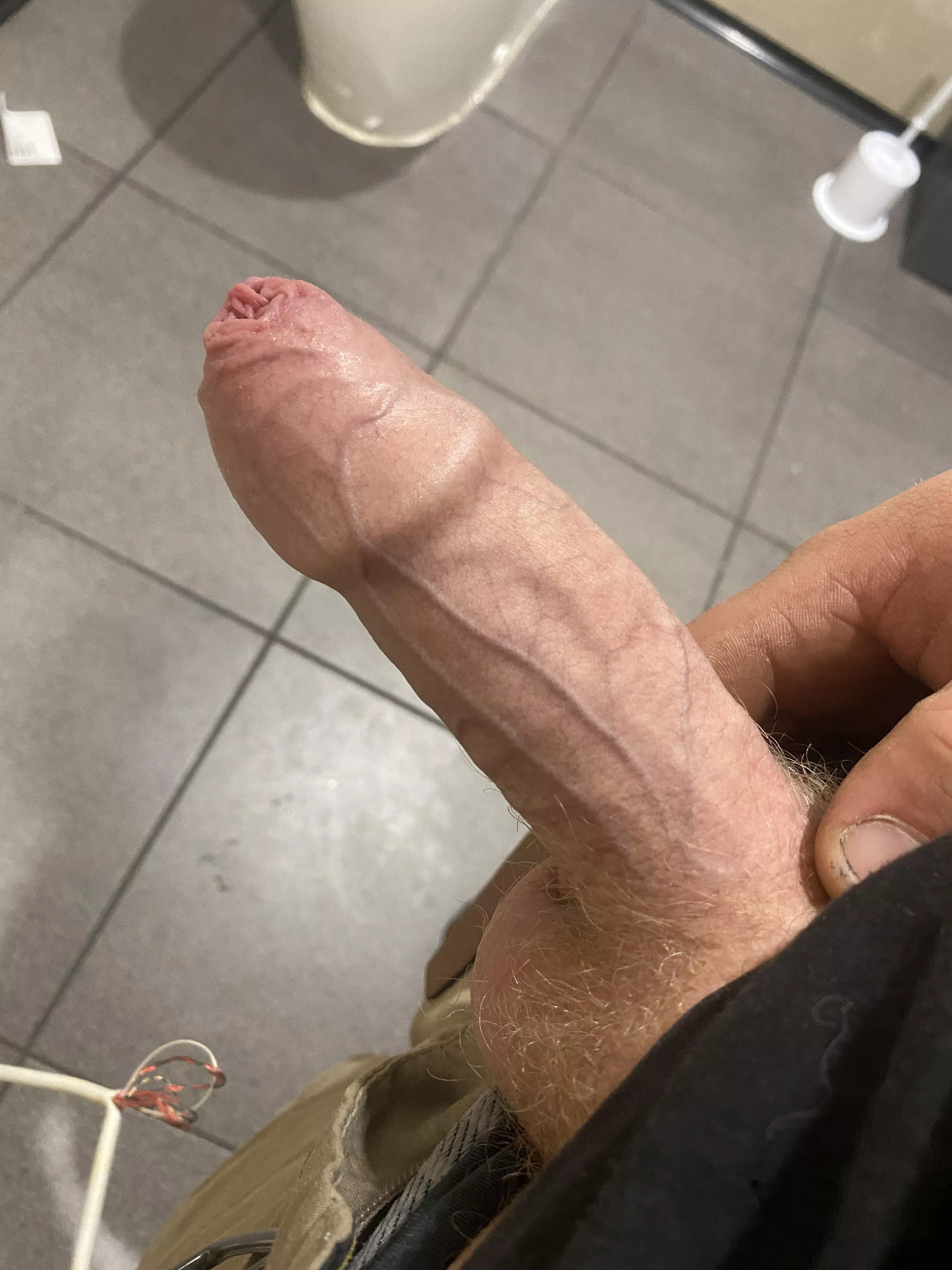 Who would suck my cock in the fuel station bathroom? posted by hardnaussie