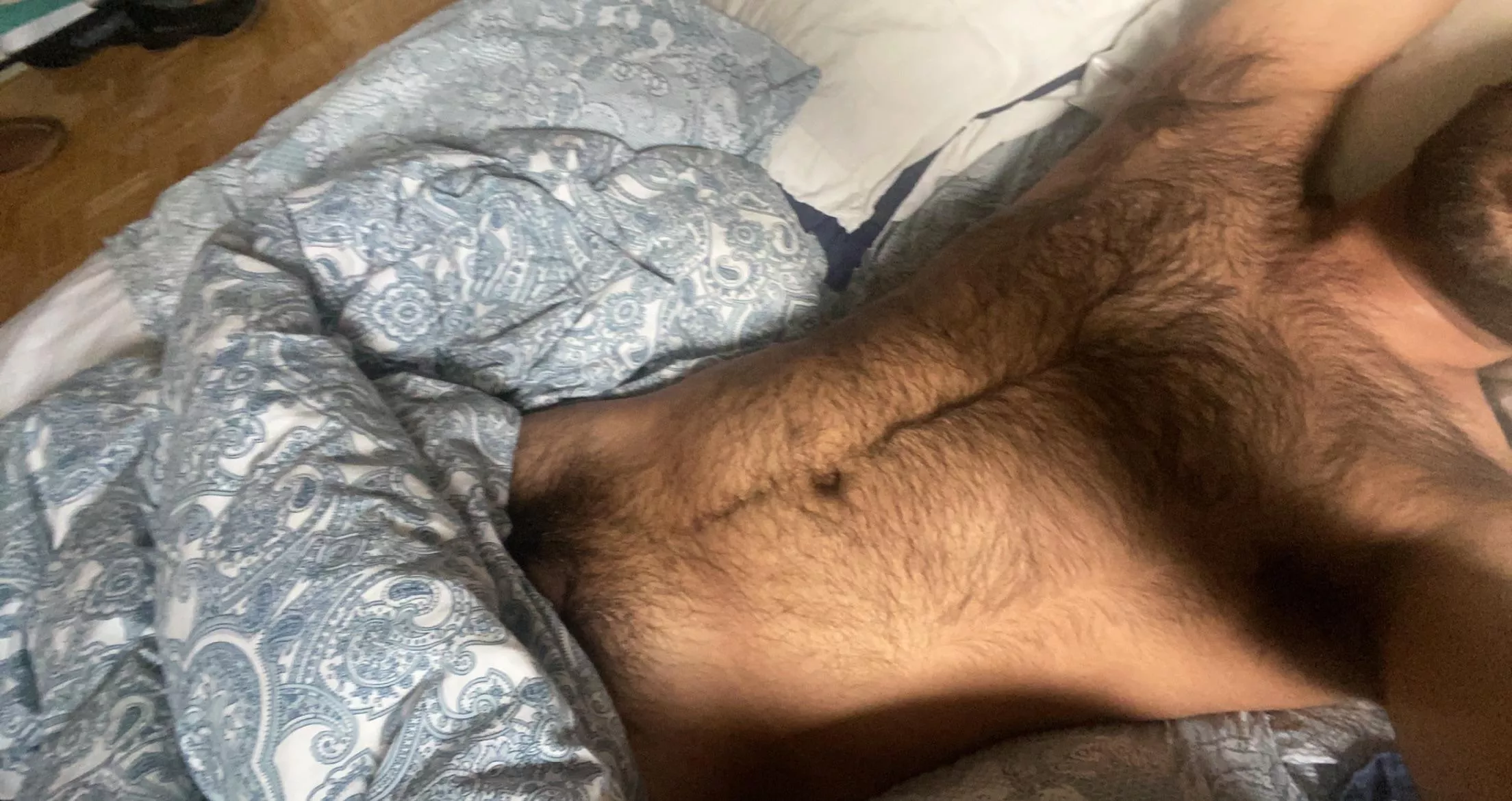 Who’s down for some morning cuddles? posted by prostication