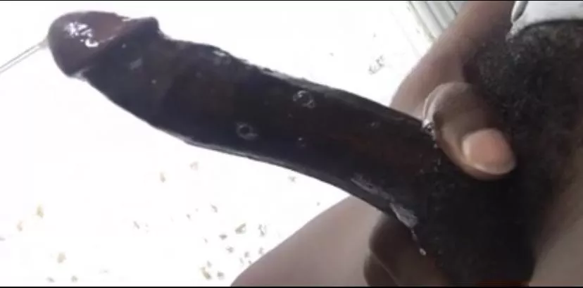 Whoâ€™s down to suck this soft big black cock posted by DLBBC2003