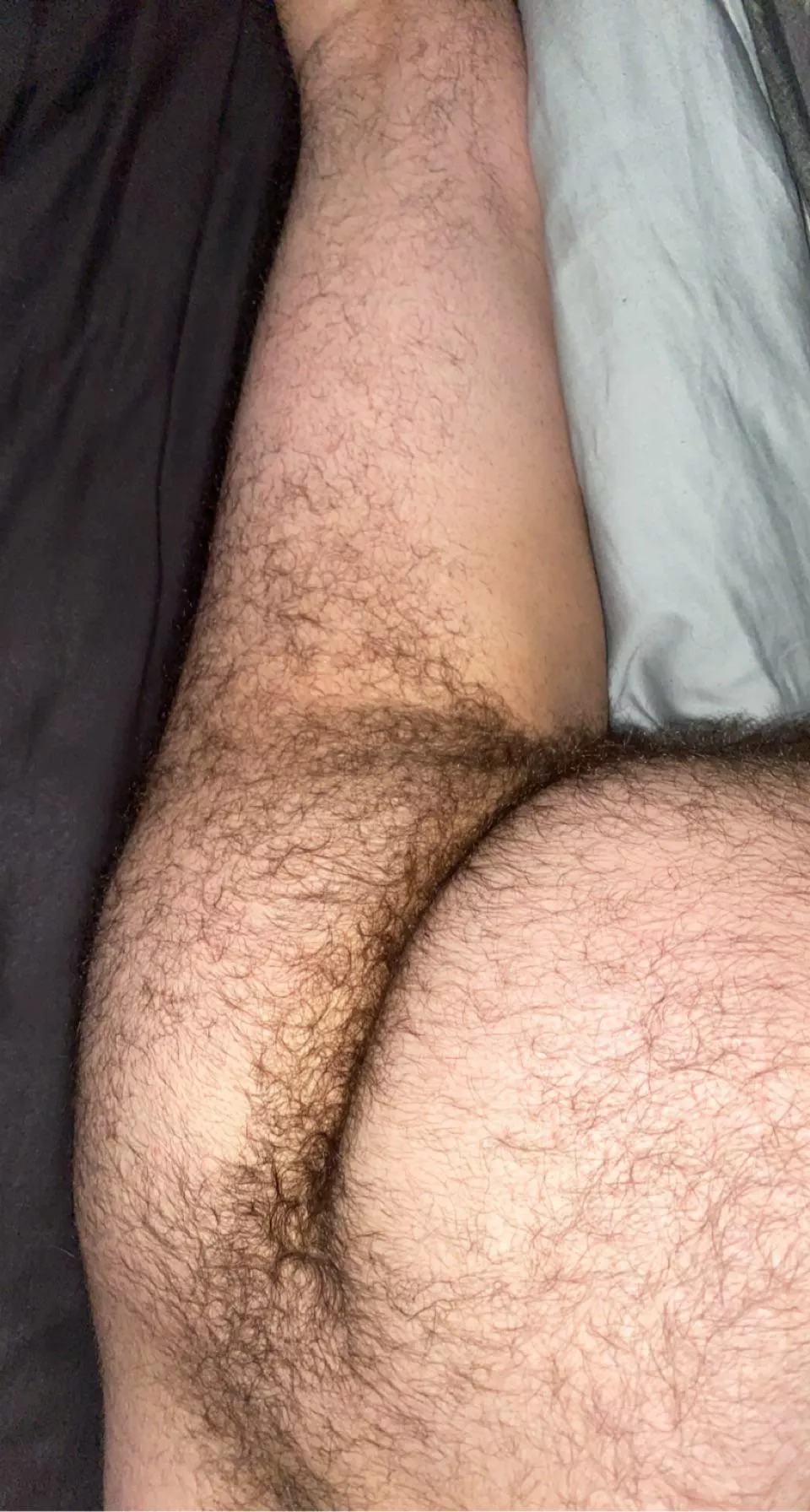 Who’s going to use my hairy ass while my bf watches? posted by trhwtt