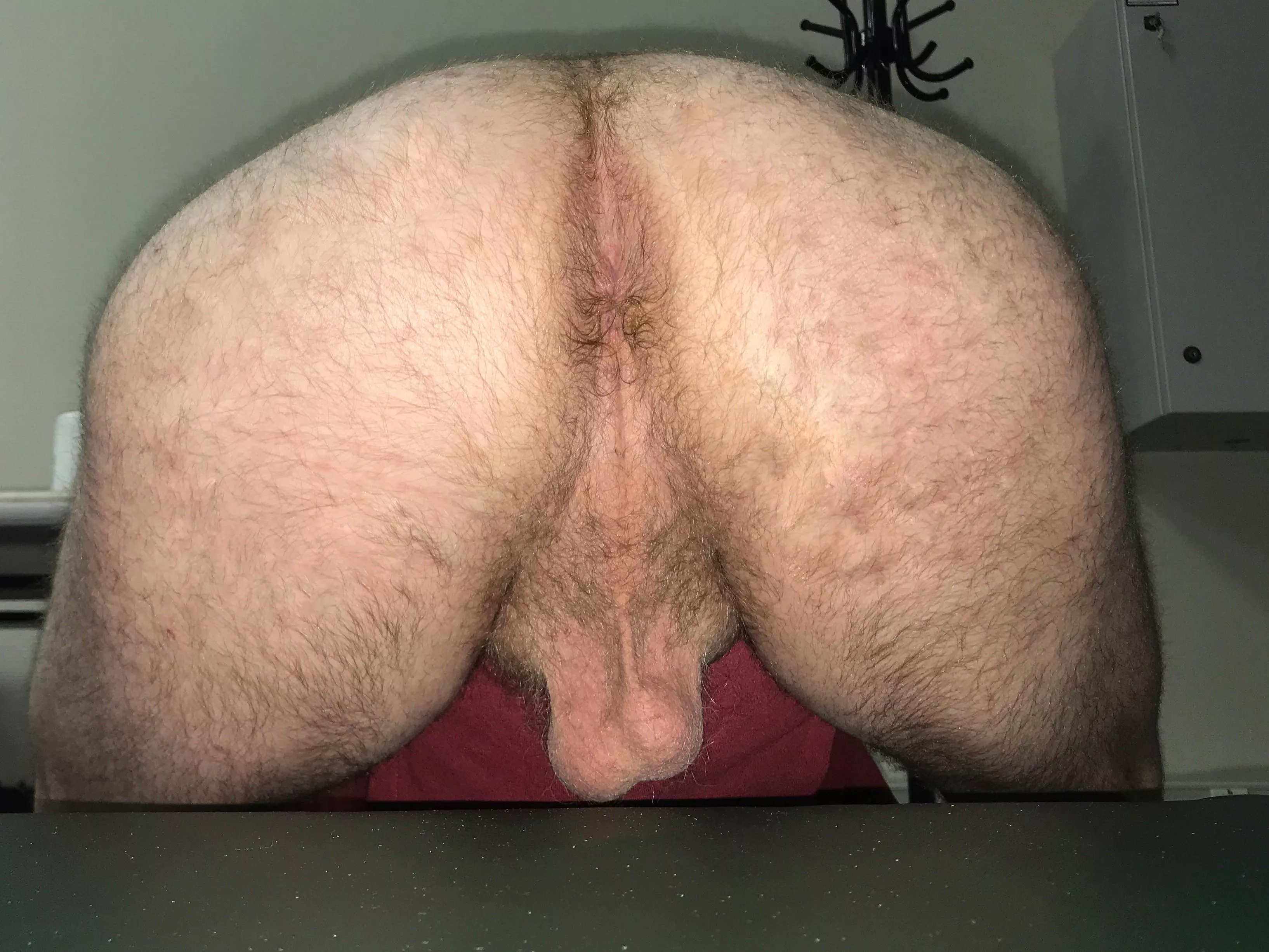 Why don’t you use that sexy hairy butt?! posted by iseealion