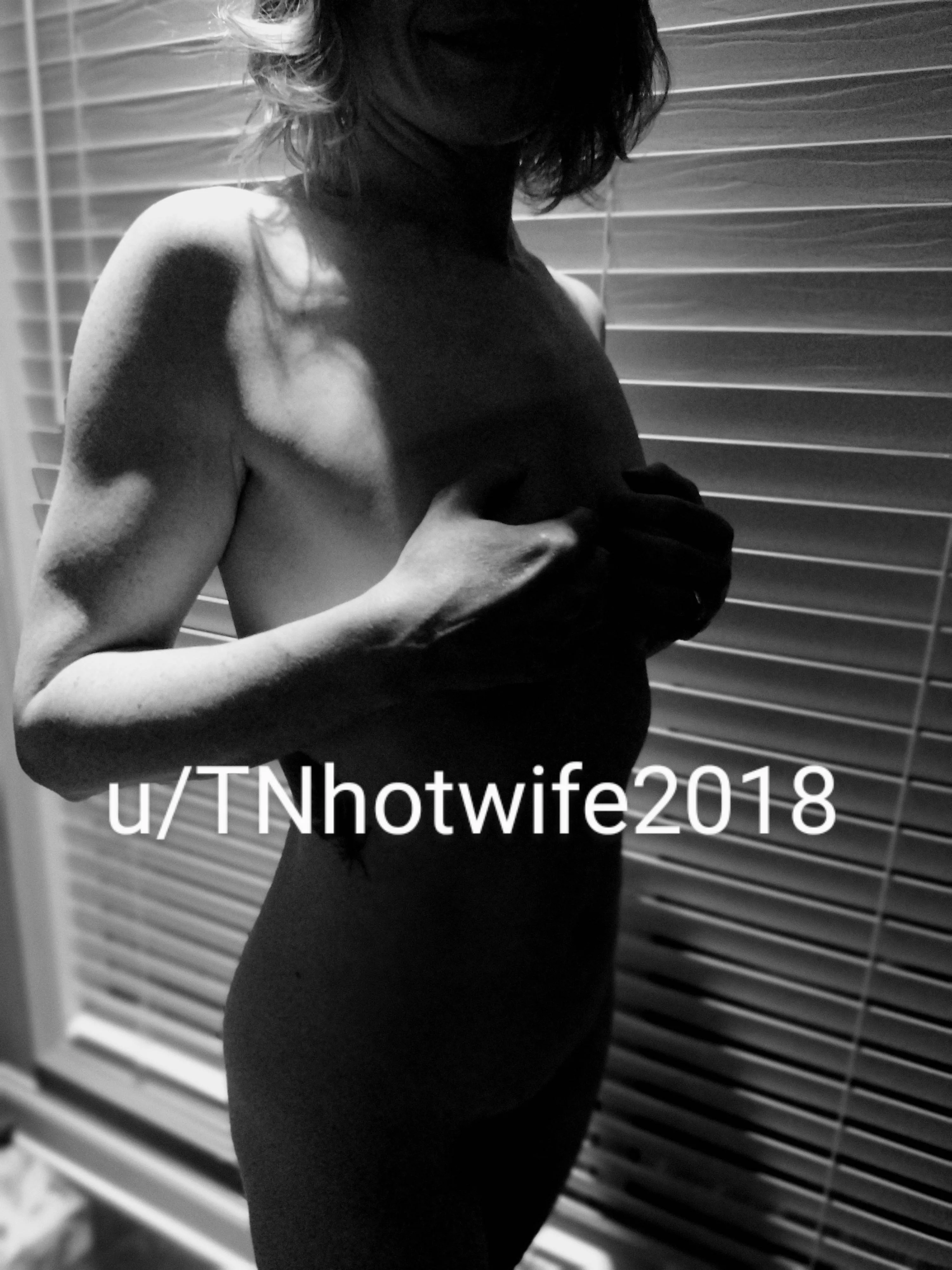 Wife alone on a trip tonight in Memphis. Any VERY hung boys interested in helping her be less lonely? posted by TNhotwife2018