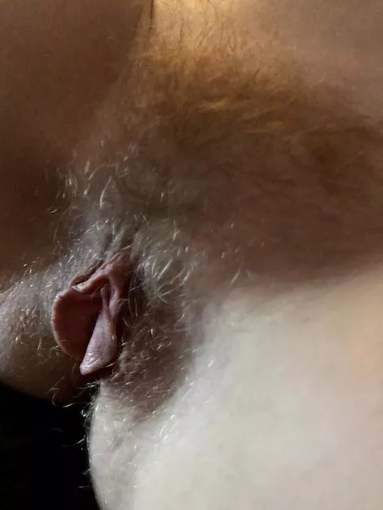 Wifeâ€™s very Wild Furry Blonde Pussy and wide open Big Meaty Labia. posted by mybhb