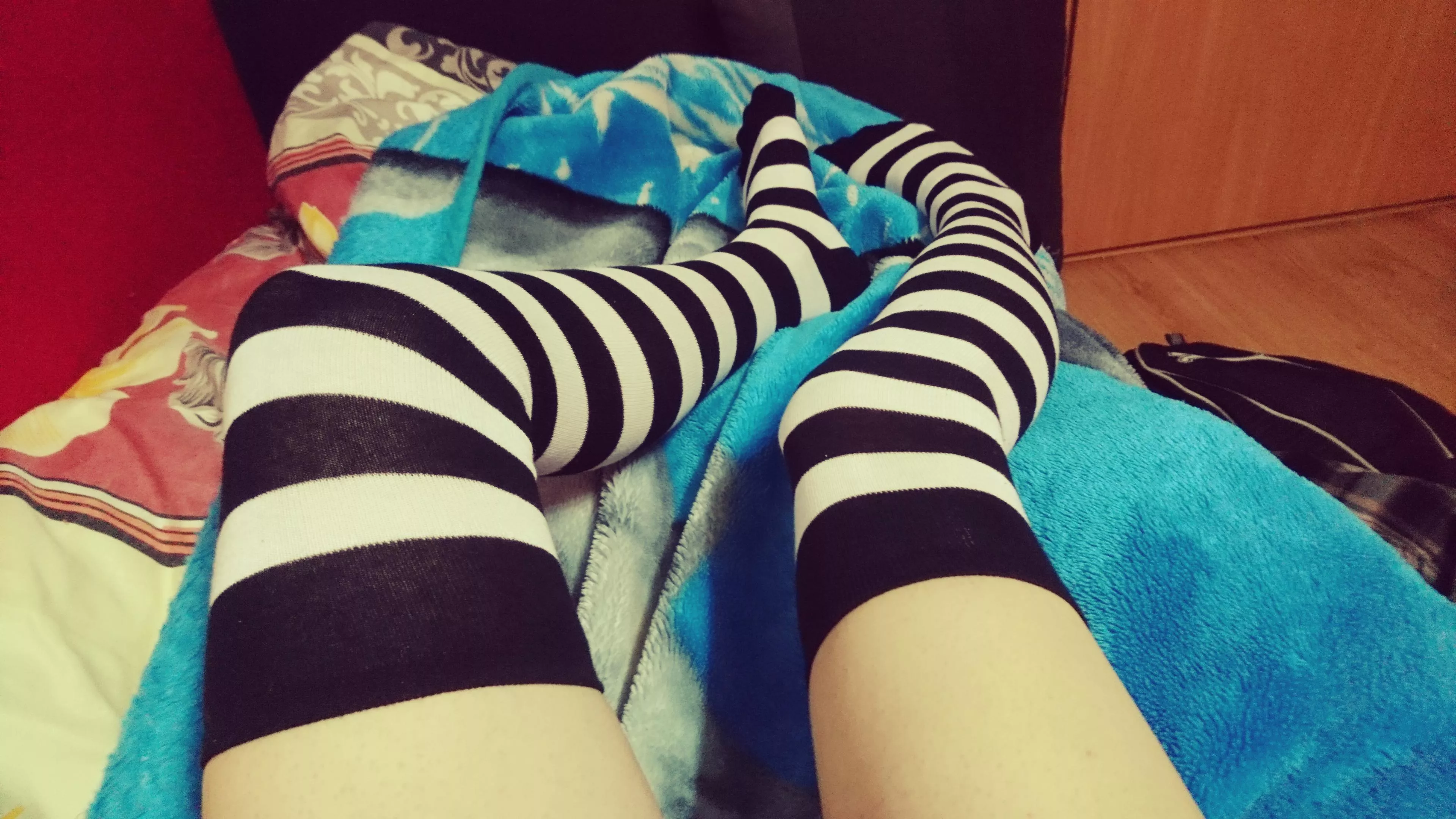 Will black stripes get more attention :3? posted by Ushiyashi