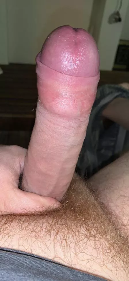 Wish I had a warm mouth to swallow this throbbing cock down to the base and slowly milk a load out to paint their face with posted by tyranasaurusg