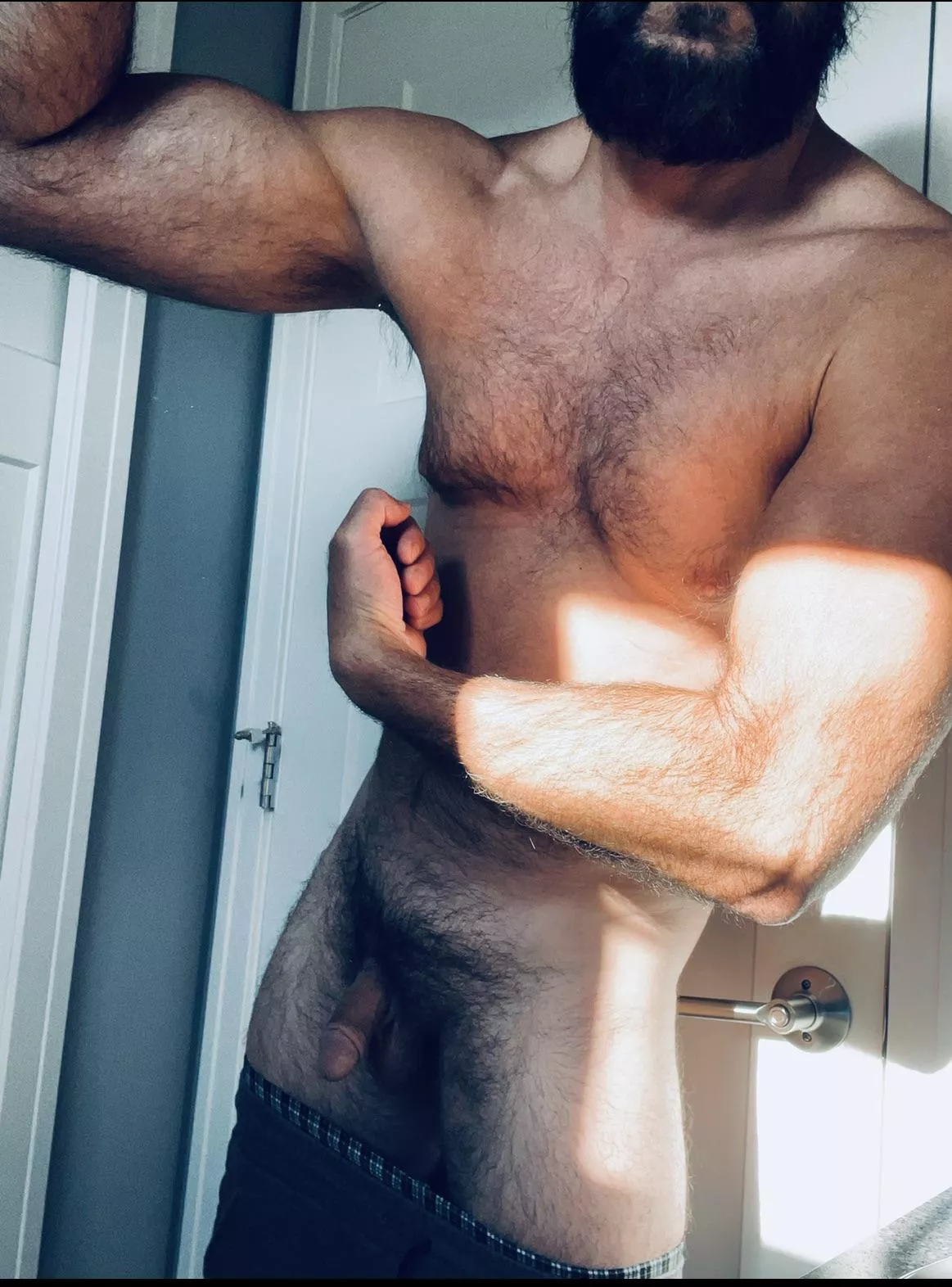 Wish I was hairier posted by ManMuscleGut