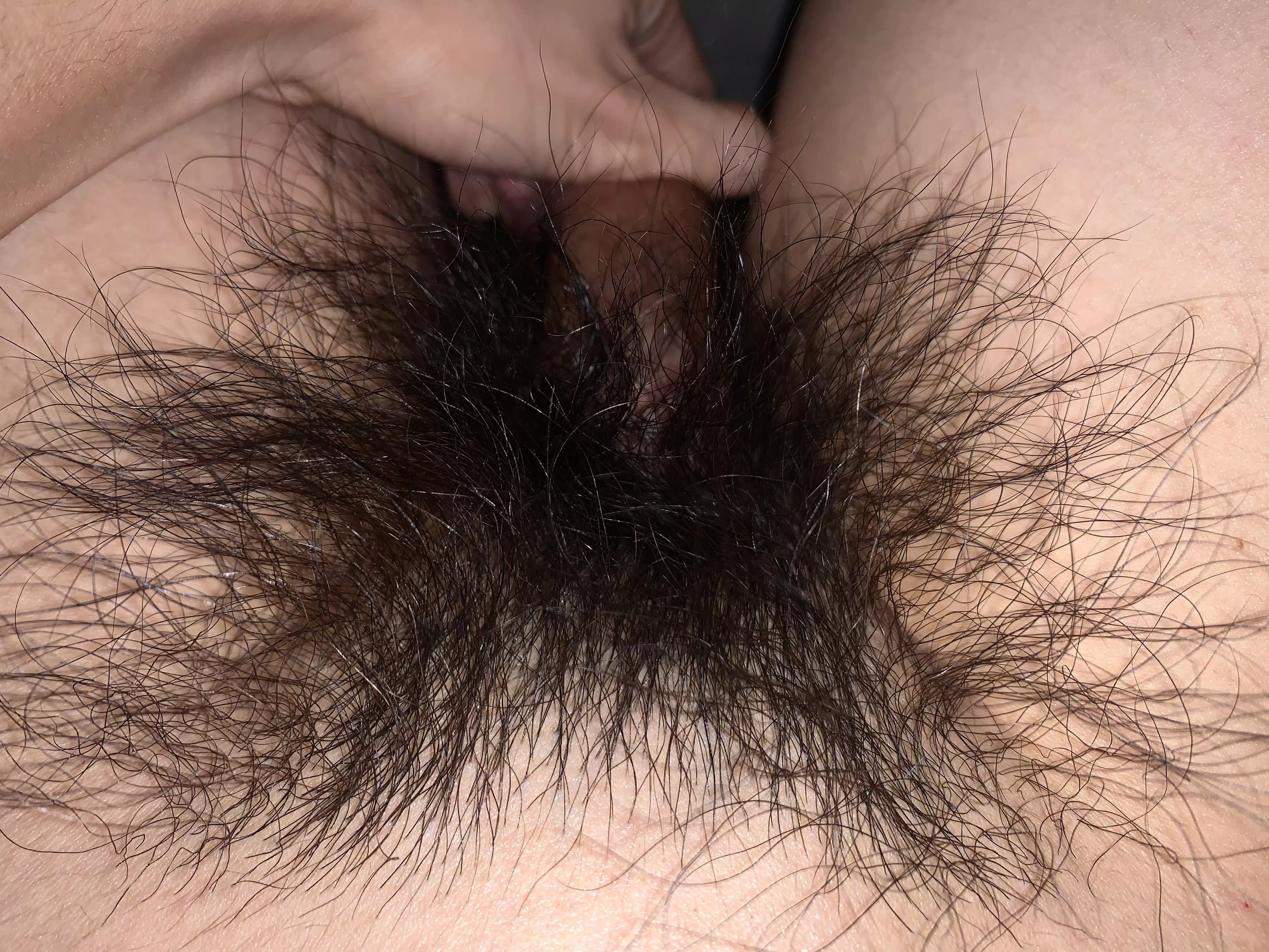 Wish someone could give my hairy thick bush some attention. Any takers? posted by HairyWildBush