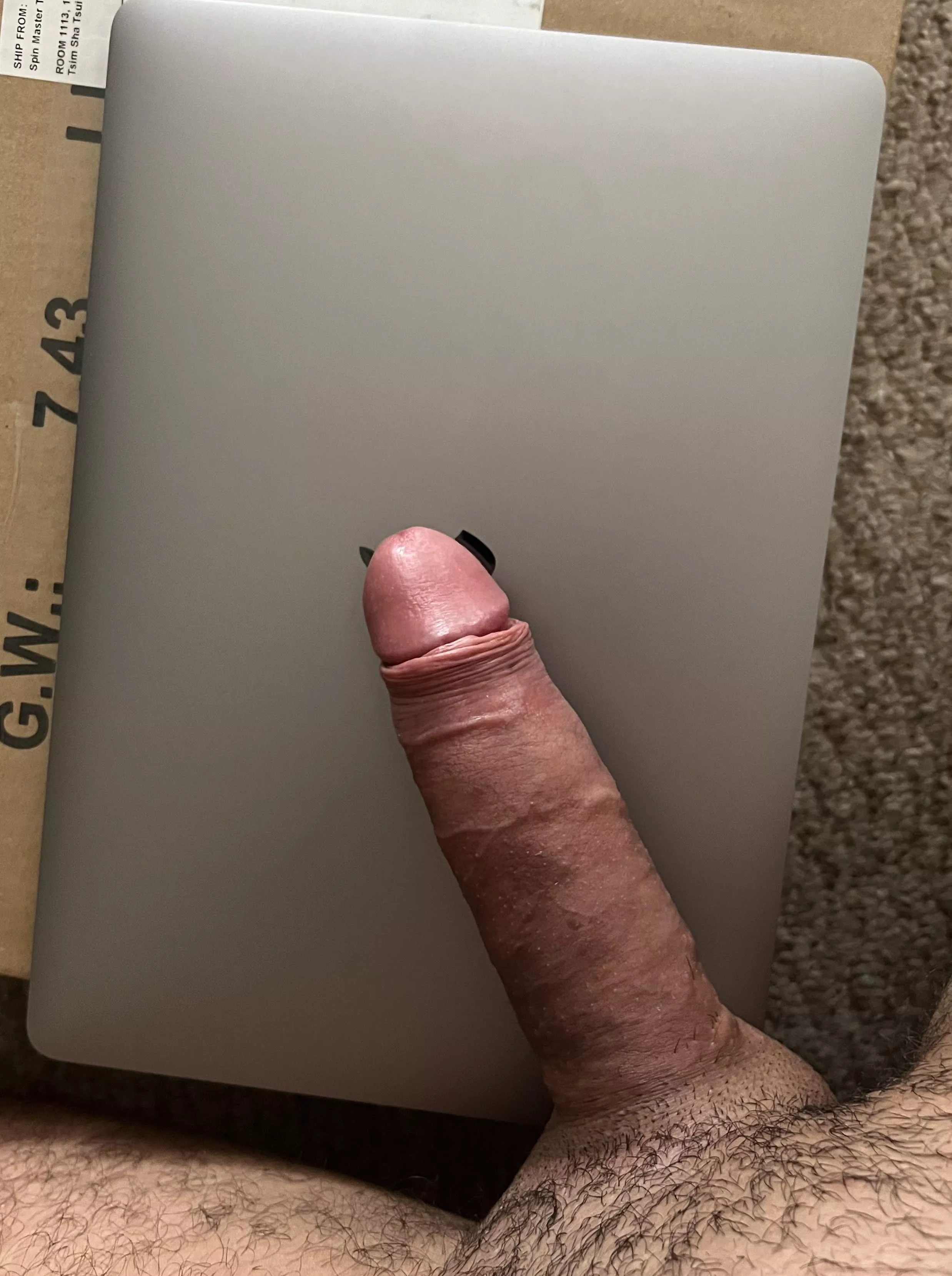 Work from home laptop and penis posted by KitchenDimension6238