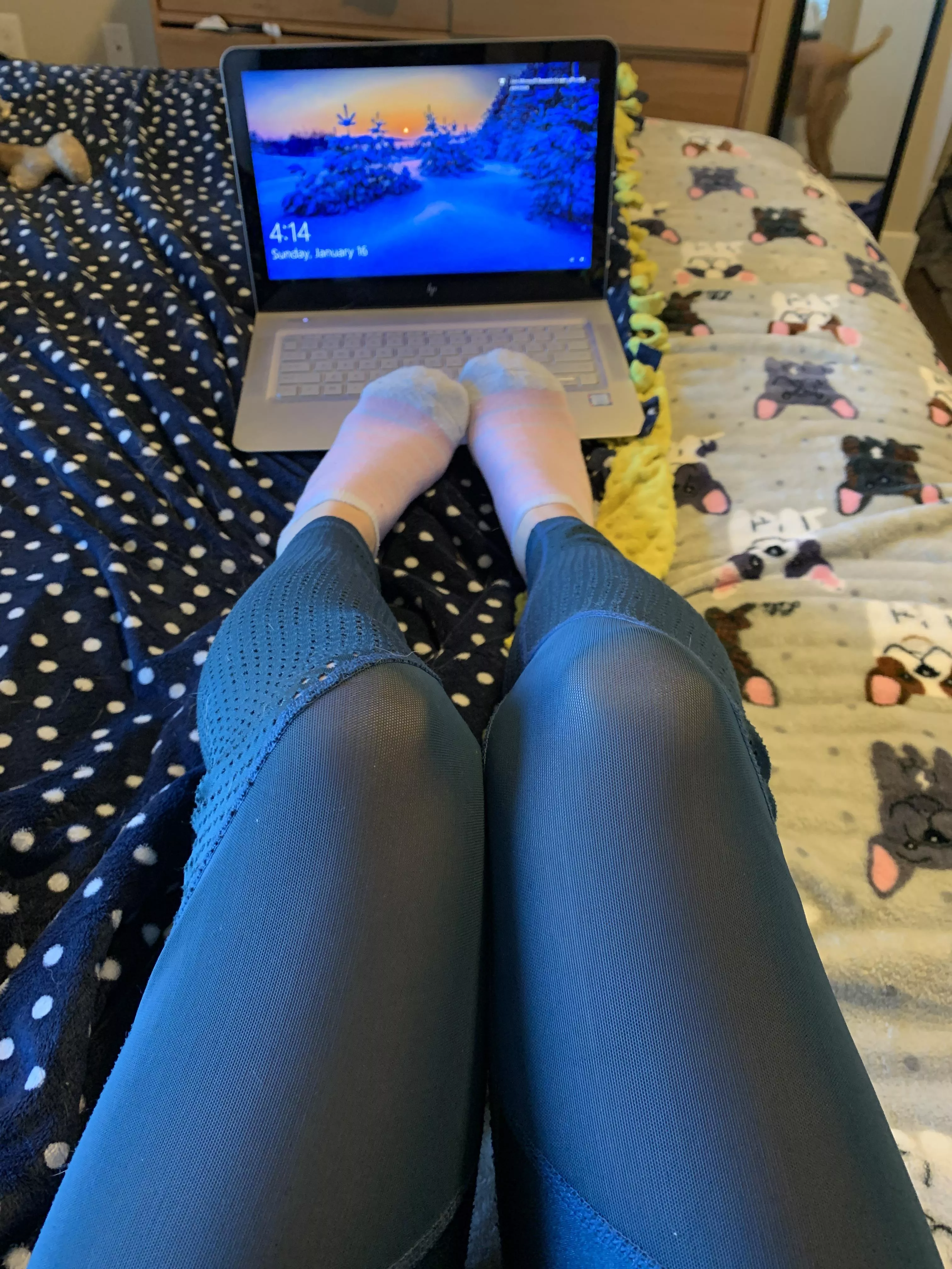 Working from home can be so distracting with socks like these posted by NastyNatasha699