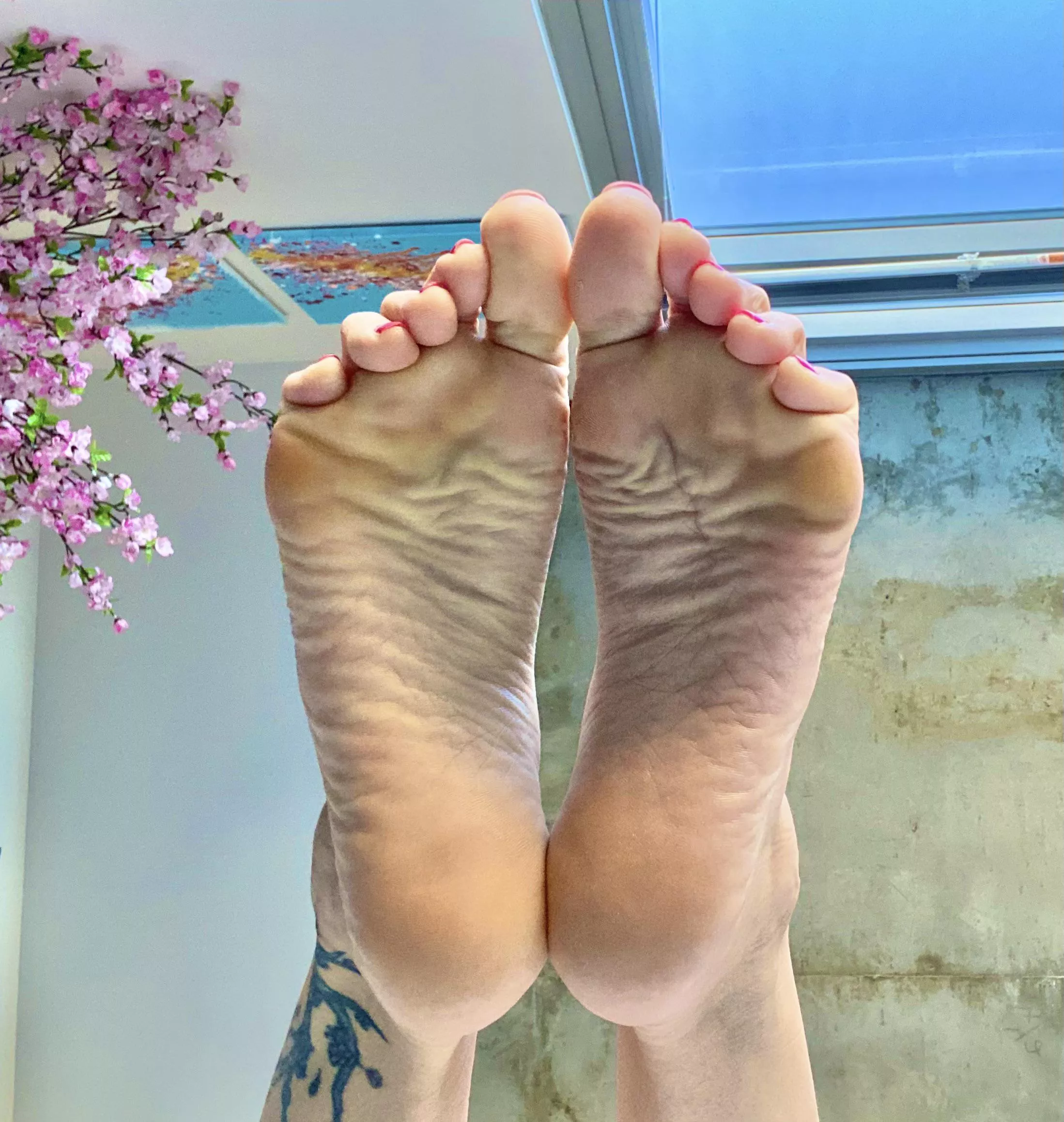 Worship my wrinkly soles 👅 lick every wrinkle 1 by 1 like a good boy posted by GoddessPussyFoot