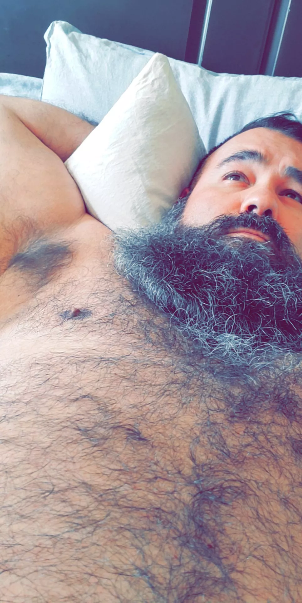 Would anyone like to lay their head on my chest? posted by beardguy505