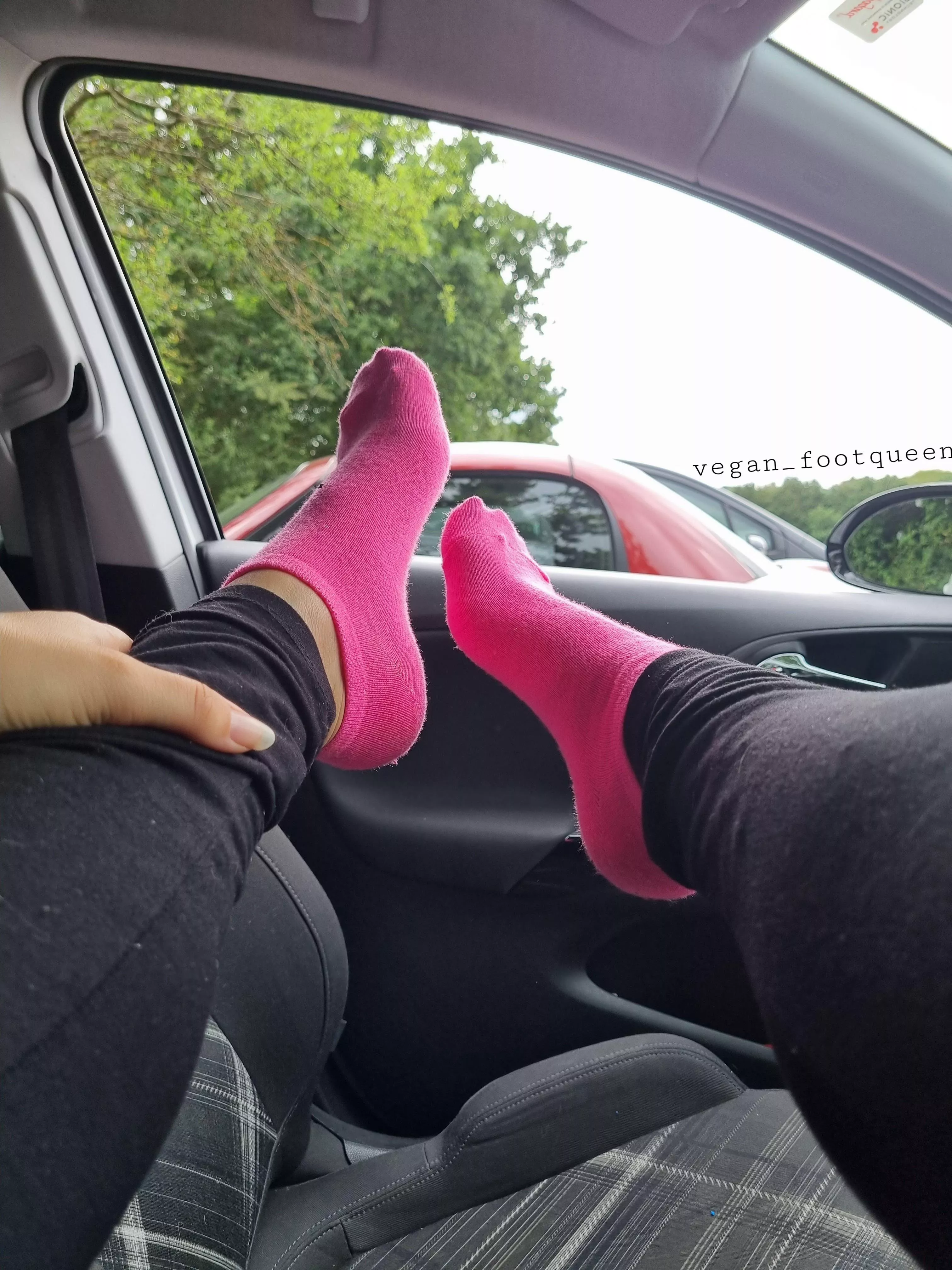 Would you be my passenger? 🚗 posted by Veganfootqueen