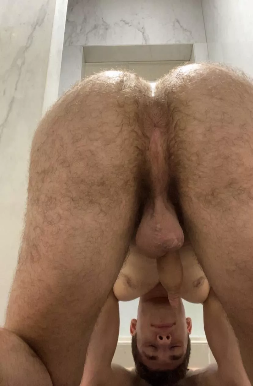 Would you breed this hairy hole? posted by Jackpackage71