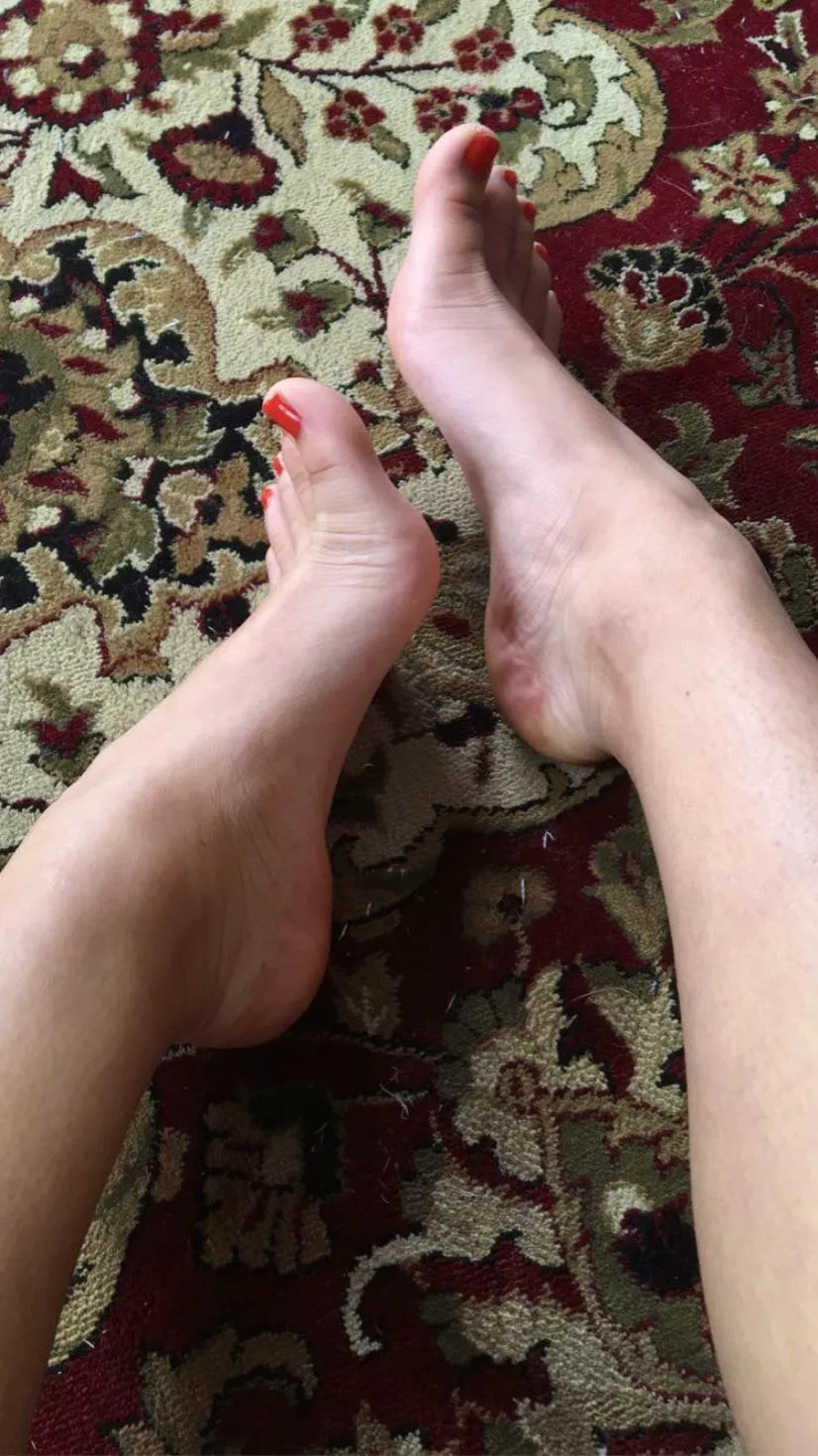 Would you cum all over my feet?💦😏link in bio posted by cierrabella4sure