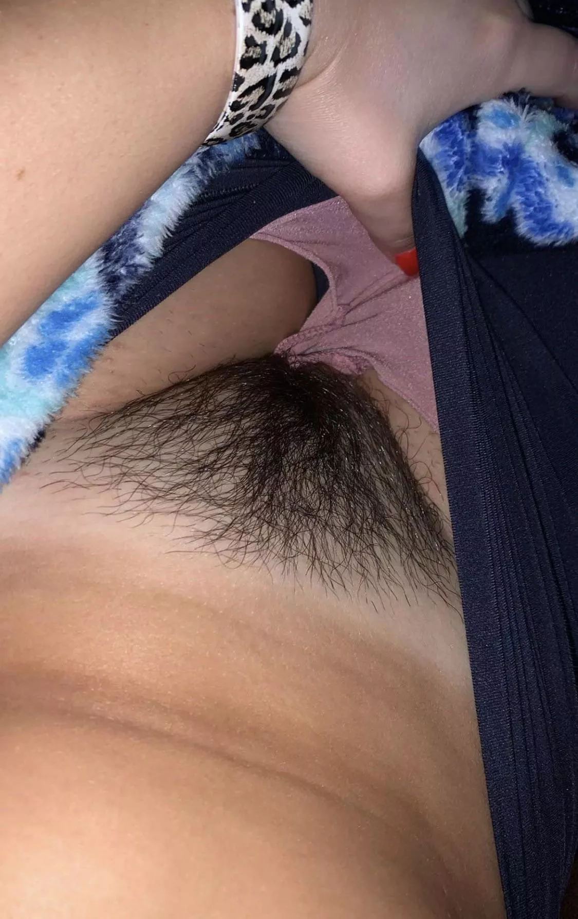 Would you cum in me or on my bush? posted by candaceroyce