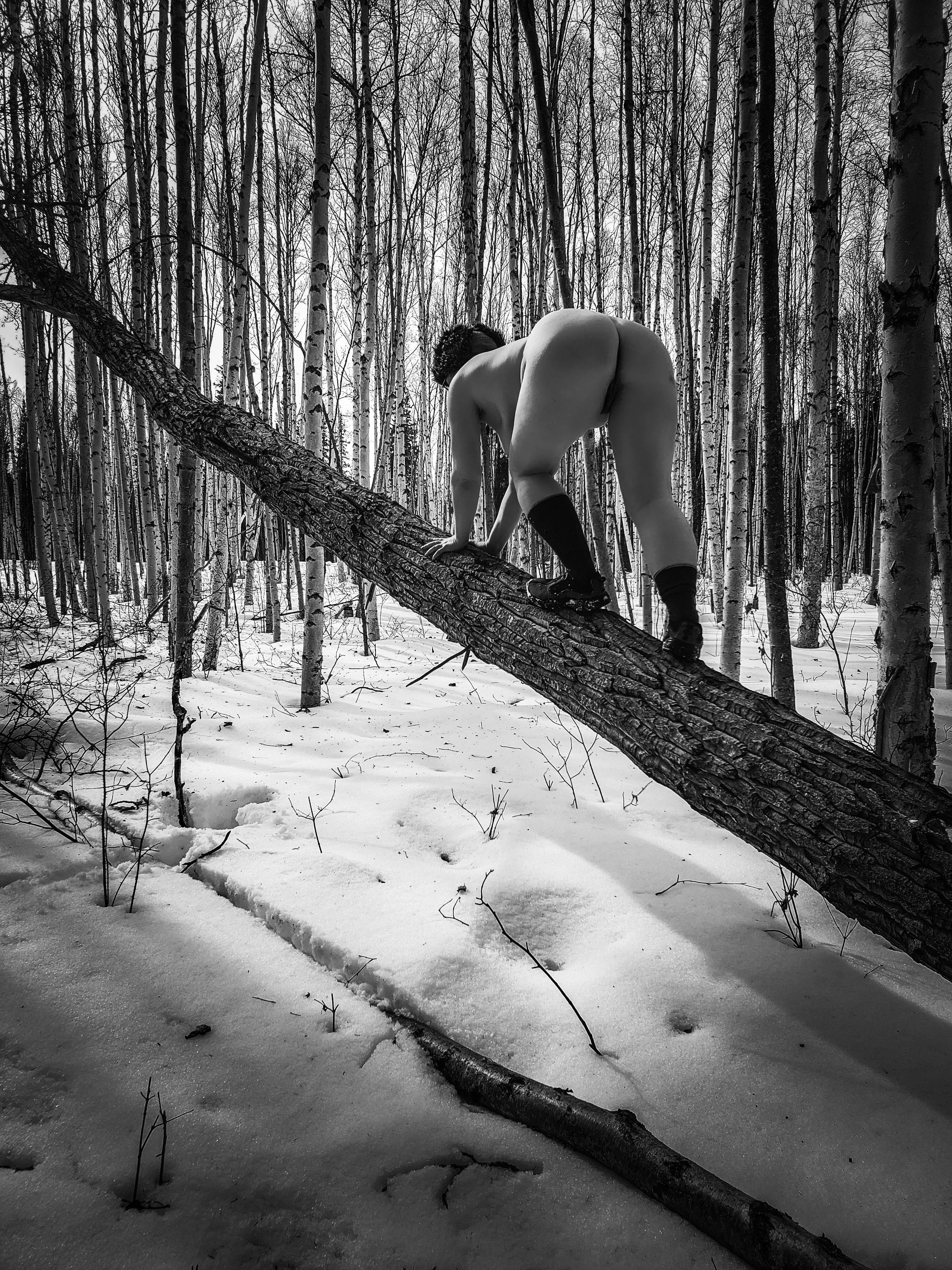 Would you follow me up this tree? posted by MattieYukon