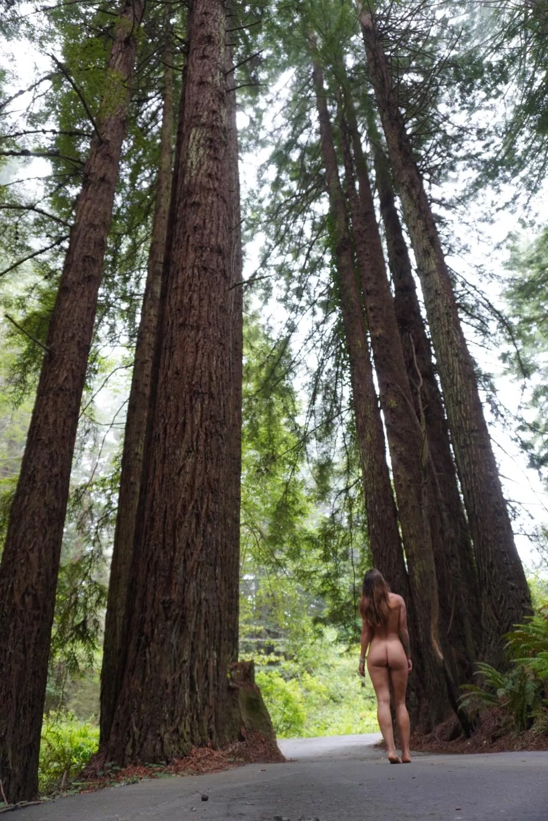 would you fuck me in these redwoods? ðŸ§šðŸ½â€â™€ï¸ðŸ˜˜ posted by Fuckmeplease123