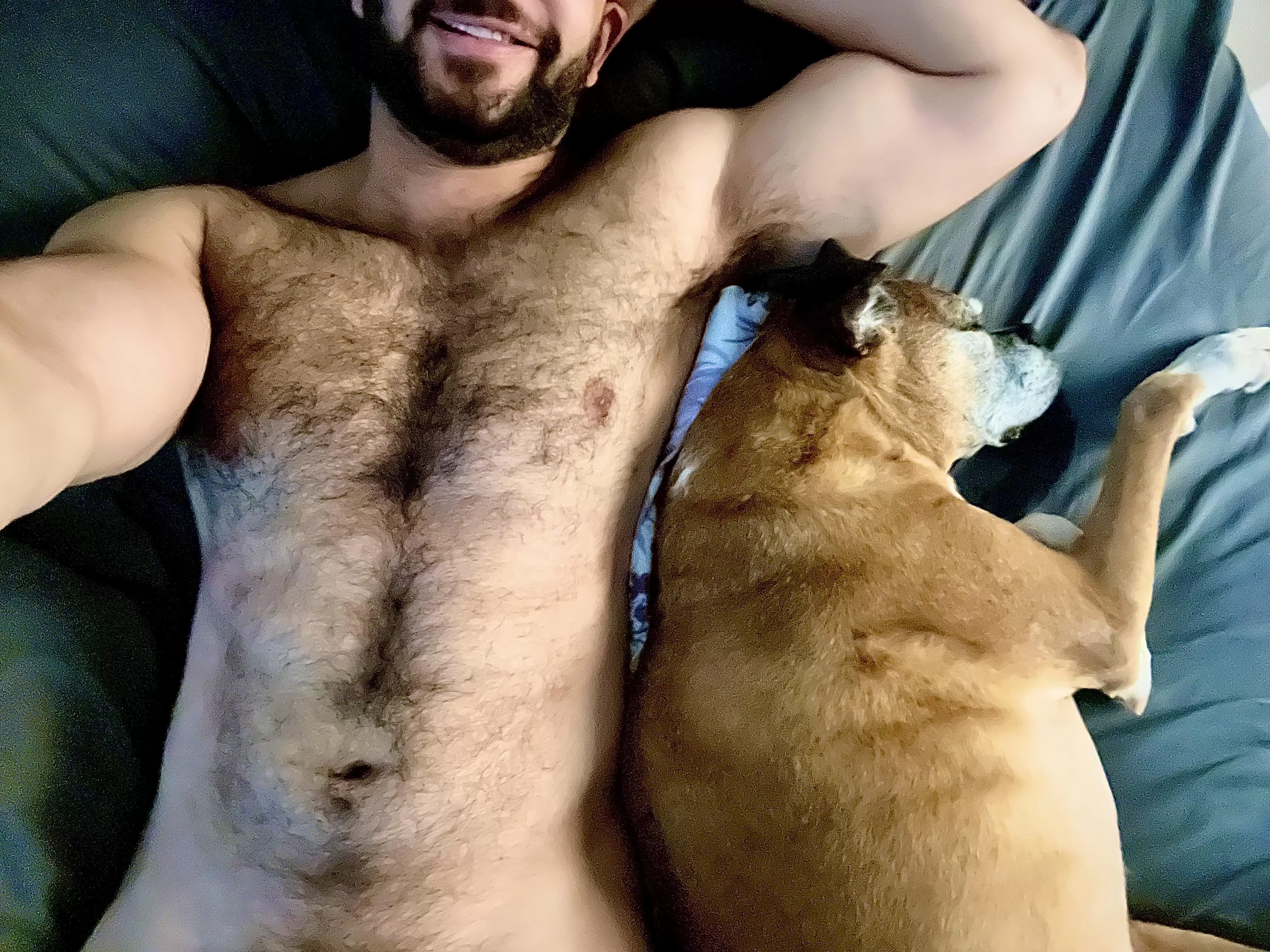 Would You Join Our Cuddle Pile? posted by Hairy_beefcake