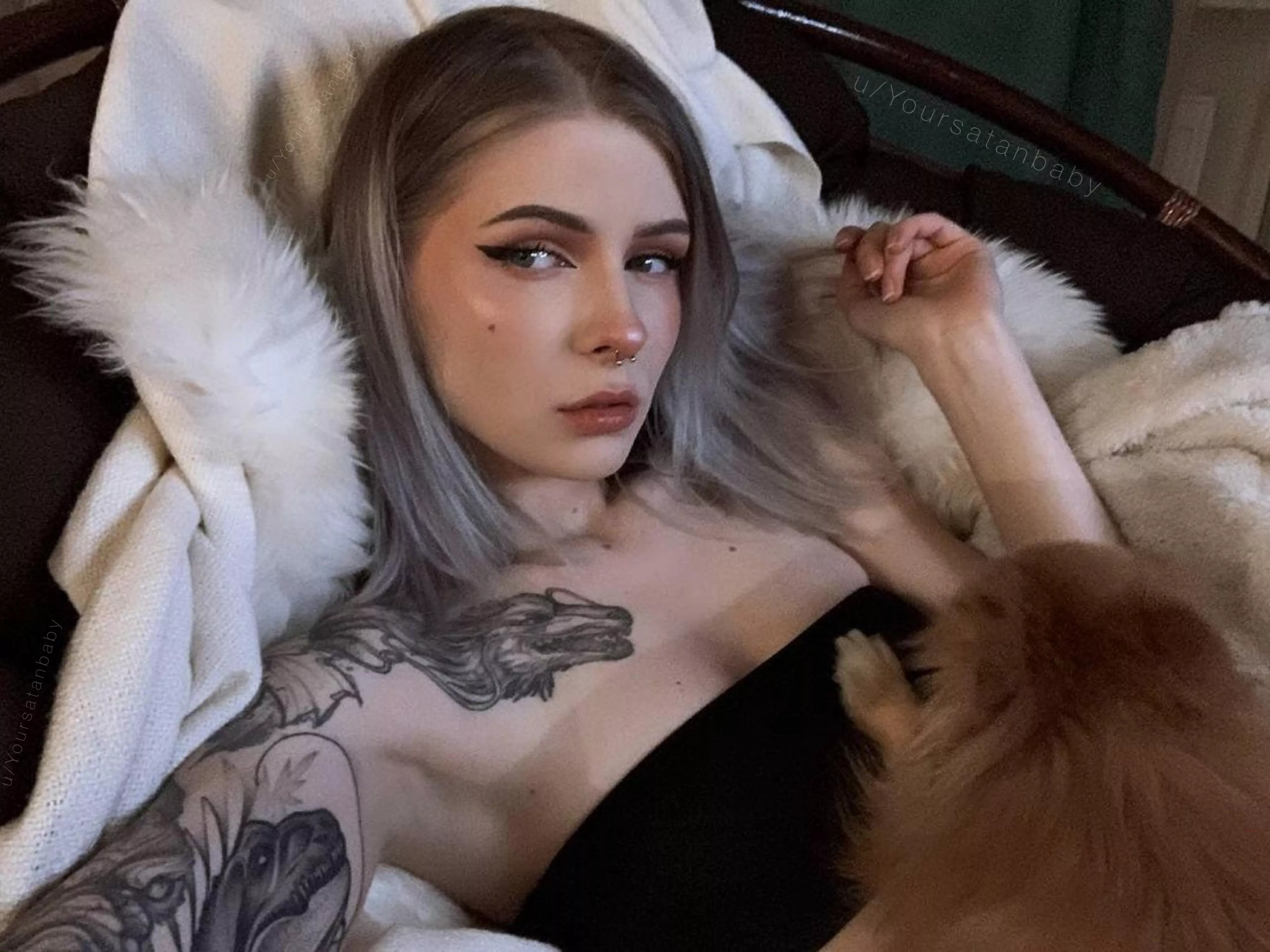 Would you like to be in the place of a dog? ðŸŒšðŸ¤—ðŸ¥°ðŸ˜ˆ posted by Yoursatanbaby