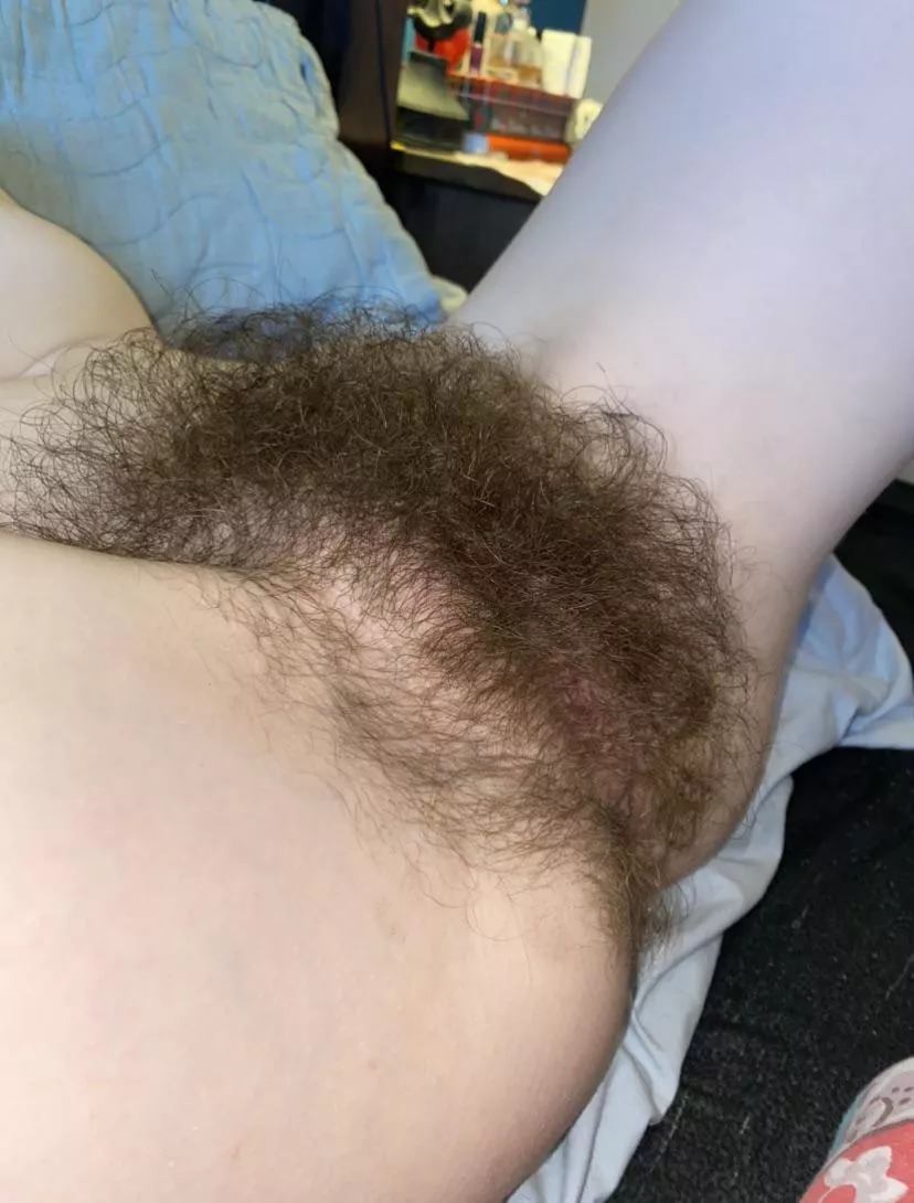 Would you like to find my wet hole through my hairy bush? posted by Many-Aioli688