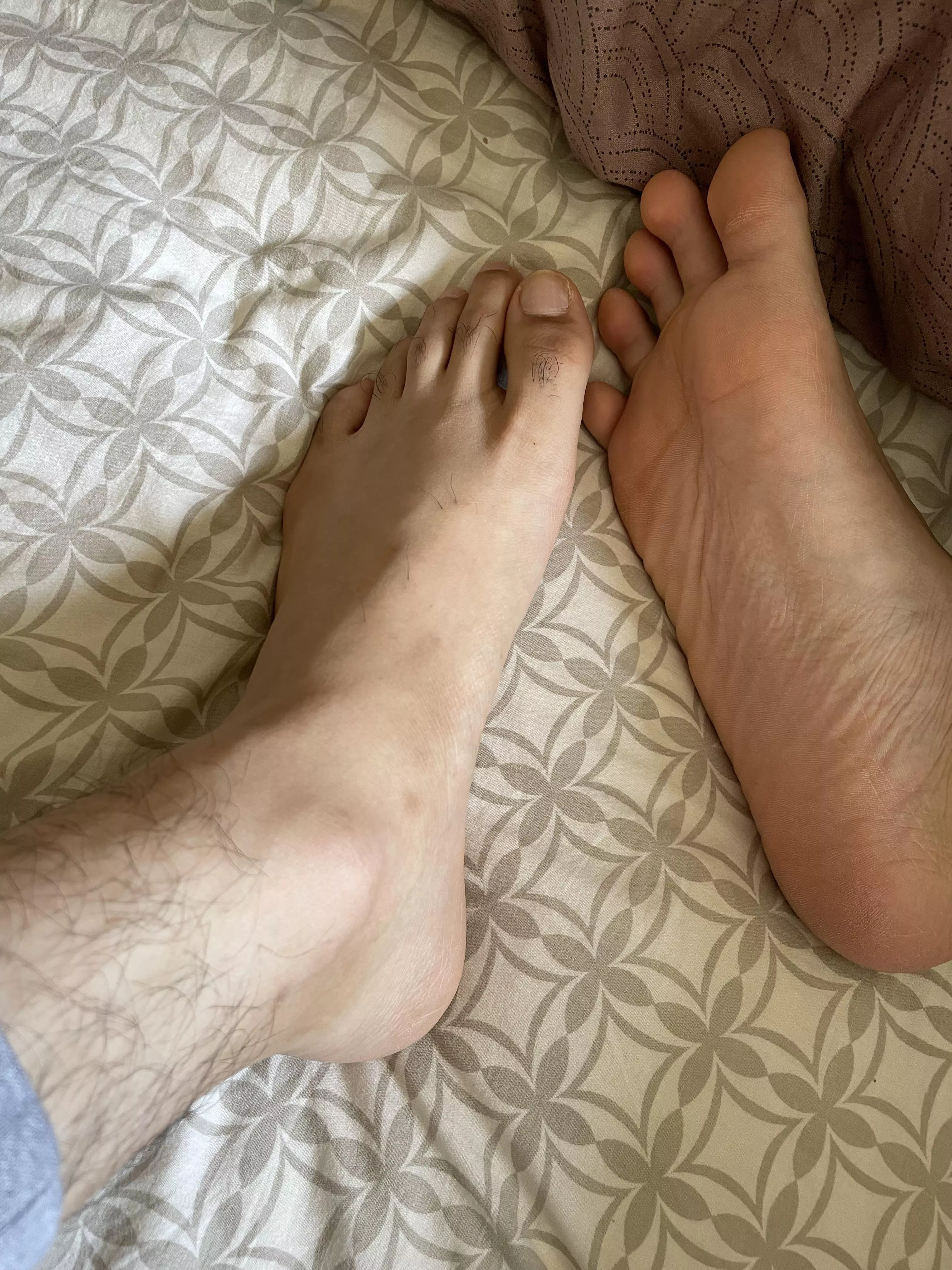 Would you rather; suck one toe or take my whole foot in your mouth? posted by Sissy_TS