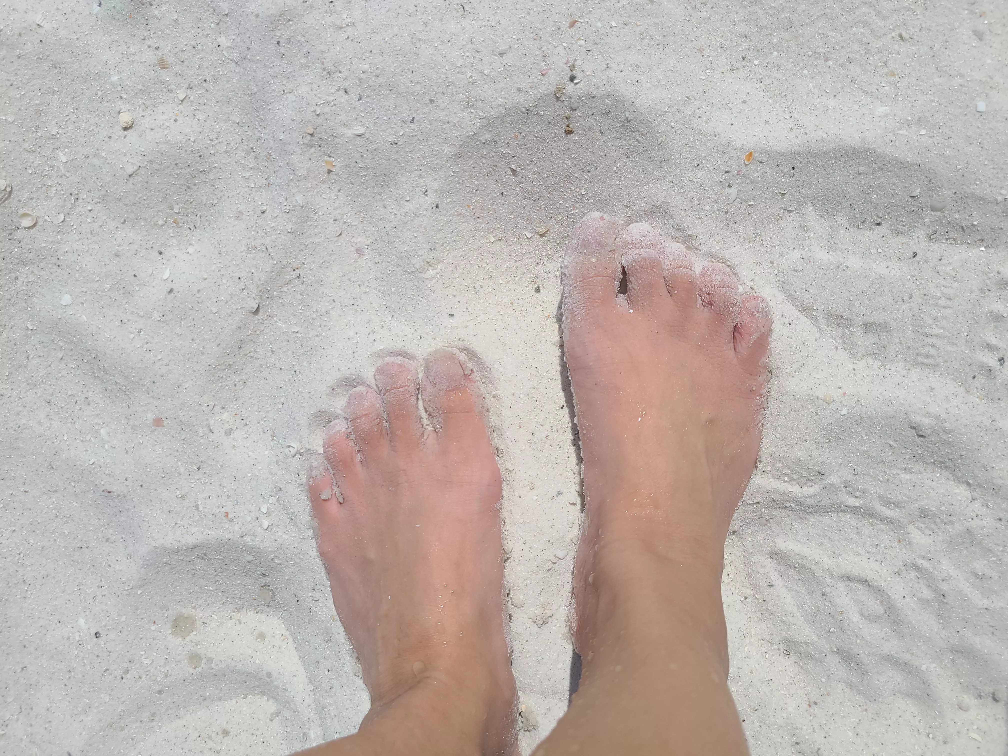 Would you rub my feet on the beach? posted by ladylinh