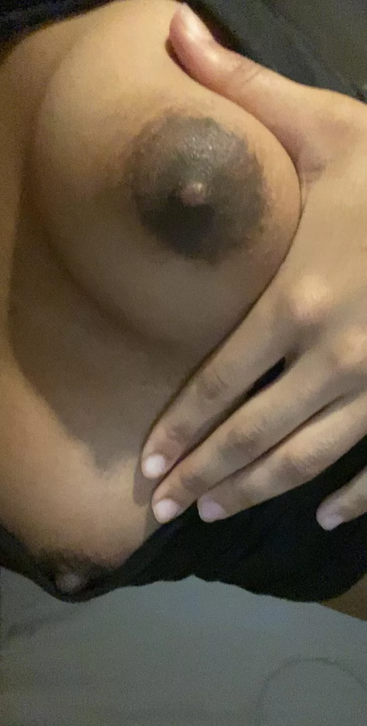 Would you suck on my brown nipples?? posted by goldenbadgal