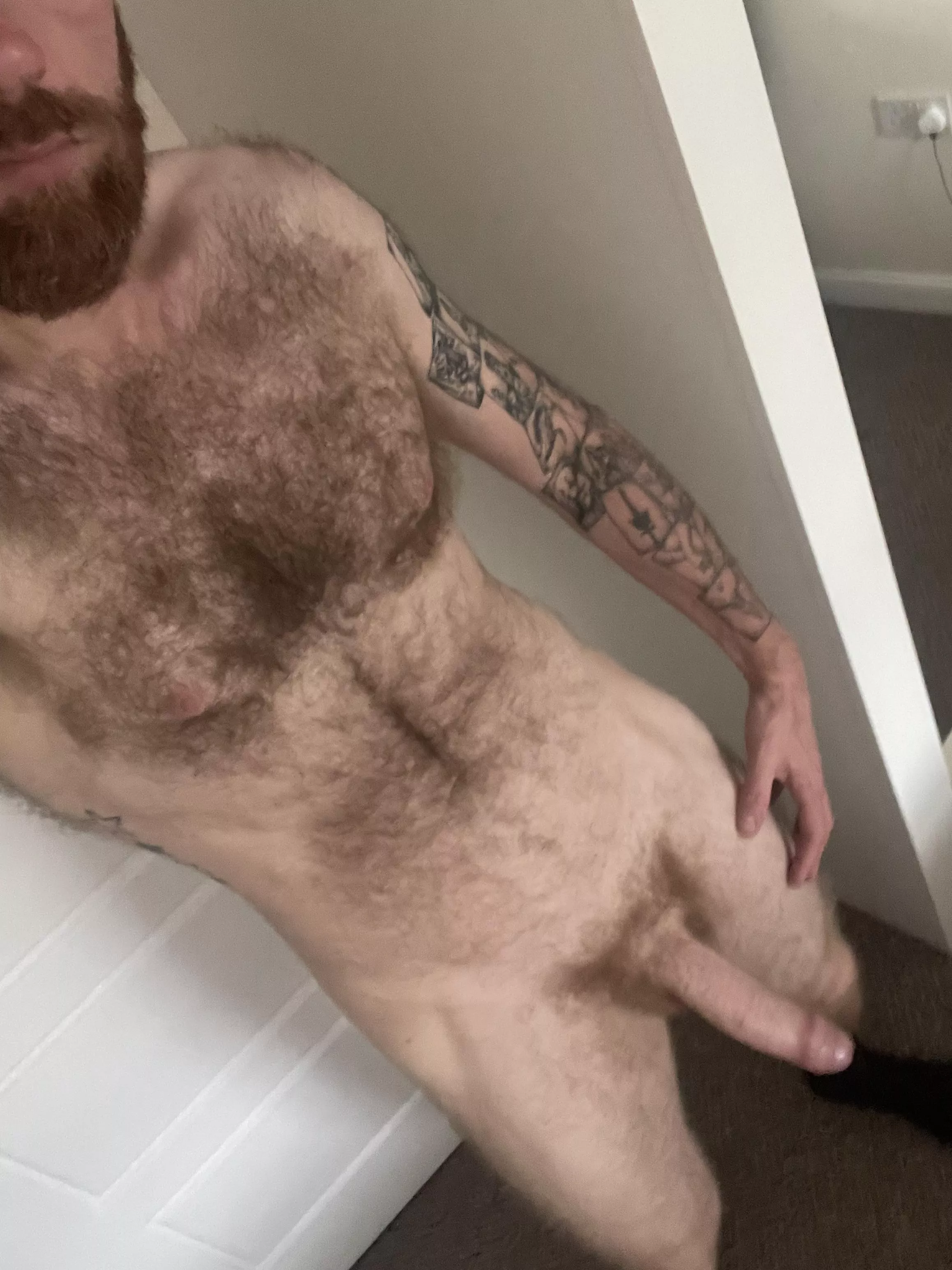 Would you suck this dick? posted by gbrad1983