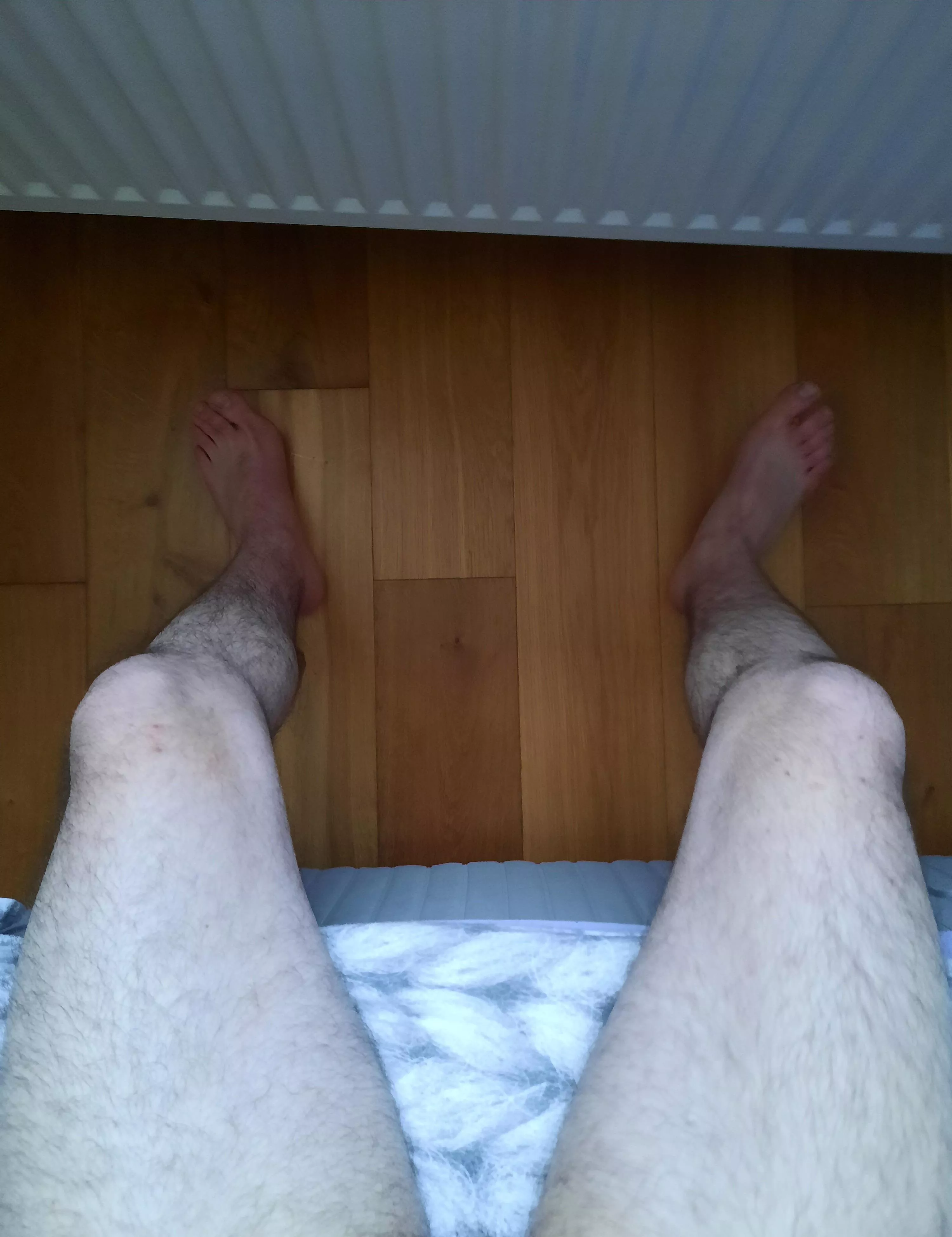 Would you take a seat on my big hairy legs ? posted by phosphoreia