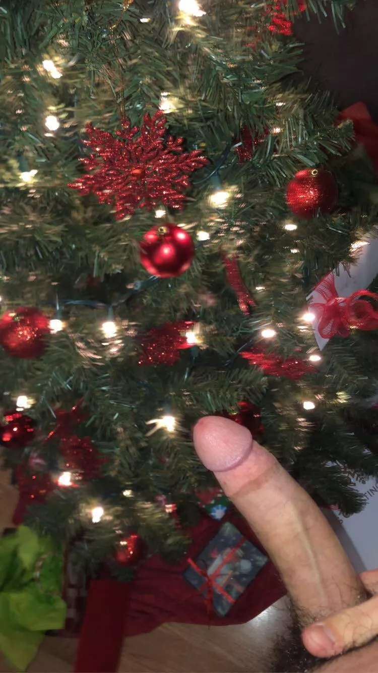 Would you take my virginity as a Christmas gift? posted by sadboycad