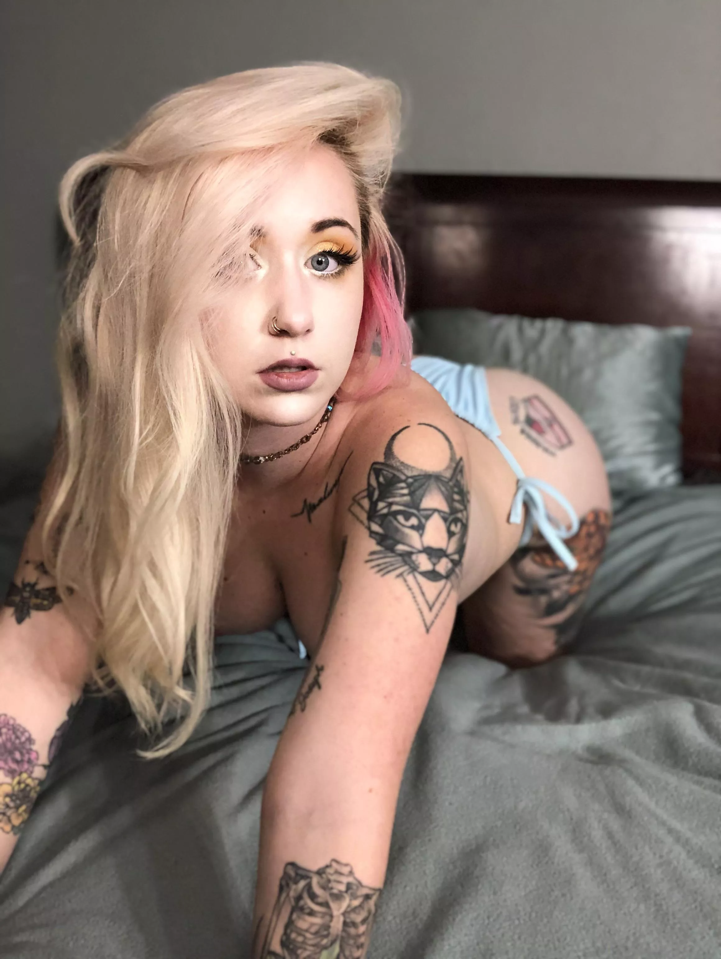 Would you try to tame this alt-girl? posted by Danikayee178