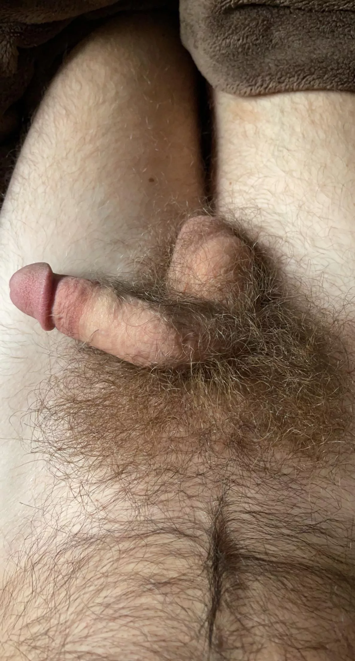 Wow my bush is getting huge posted by Curved2theleft_1