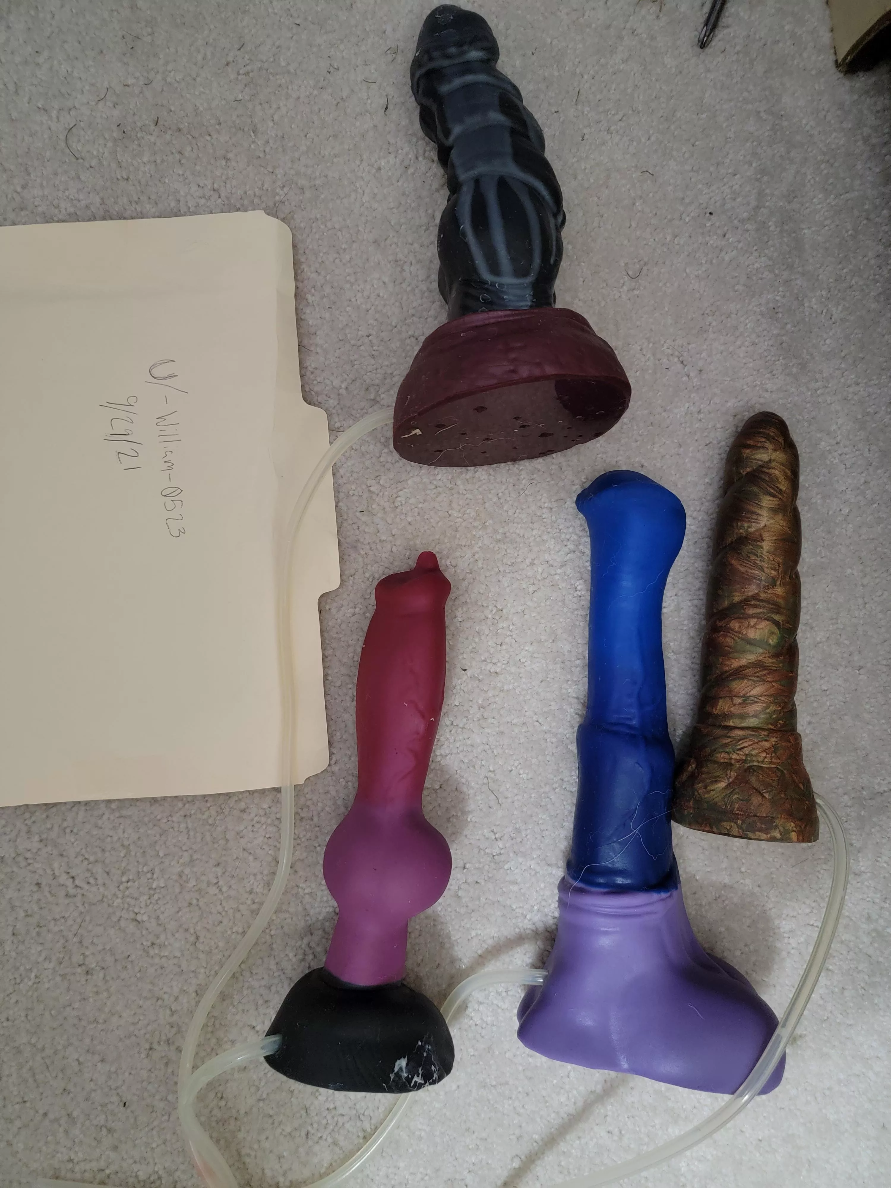 (WTS) Chance (M/M), Nova (M/M), Rex (M/M), Mystic (M/M). OBO!!! Will boil before shipping. posted by -William-0523