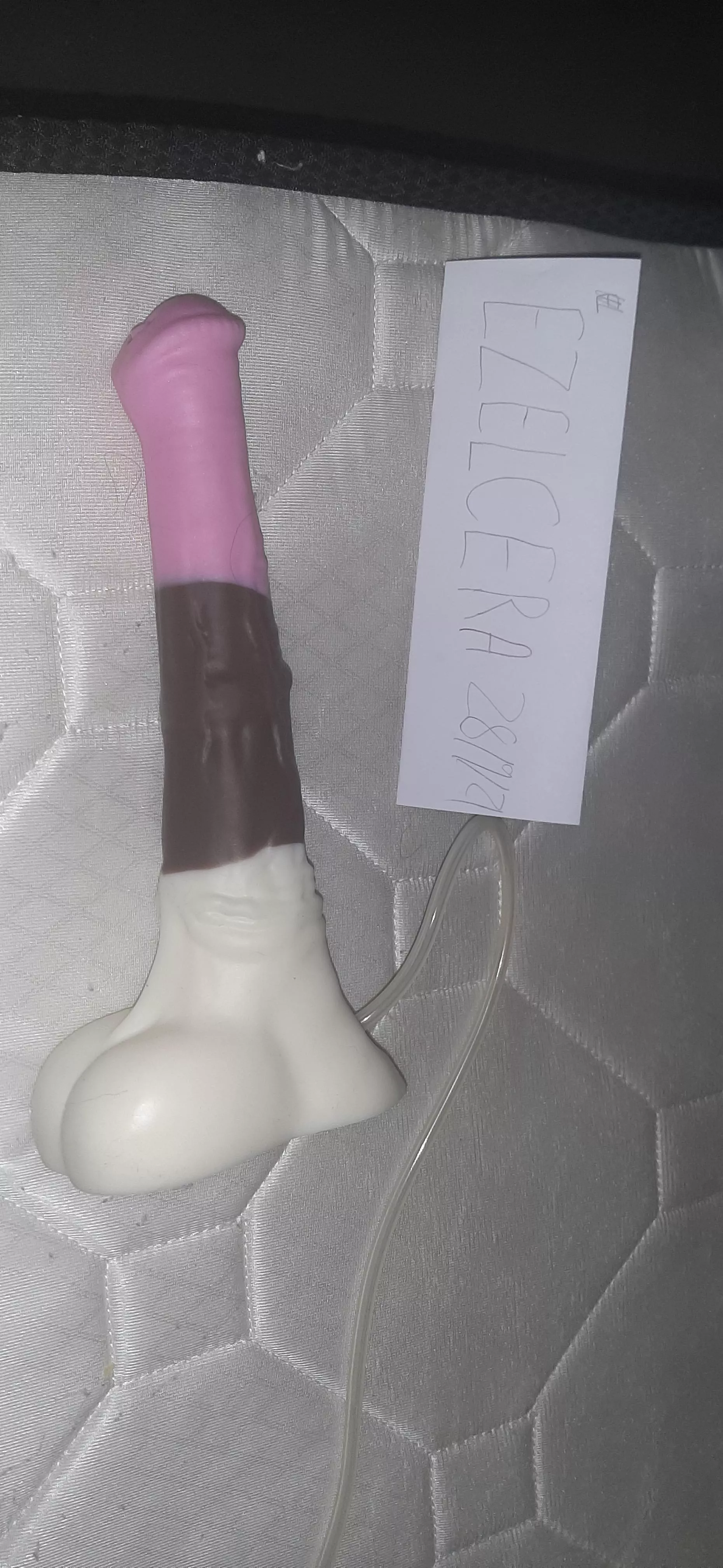 WTS Medium Chance, medium firmness, cumtube, neapolitan colouration, $150AUD OBO posted by ezelcera