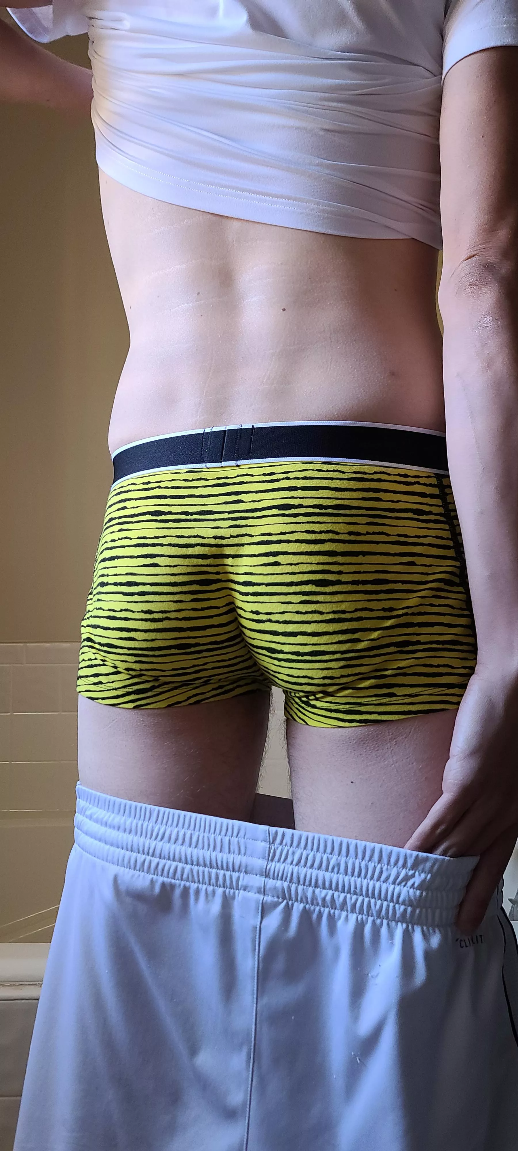 Yellow butt posted by yellerstone