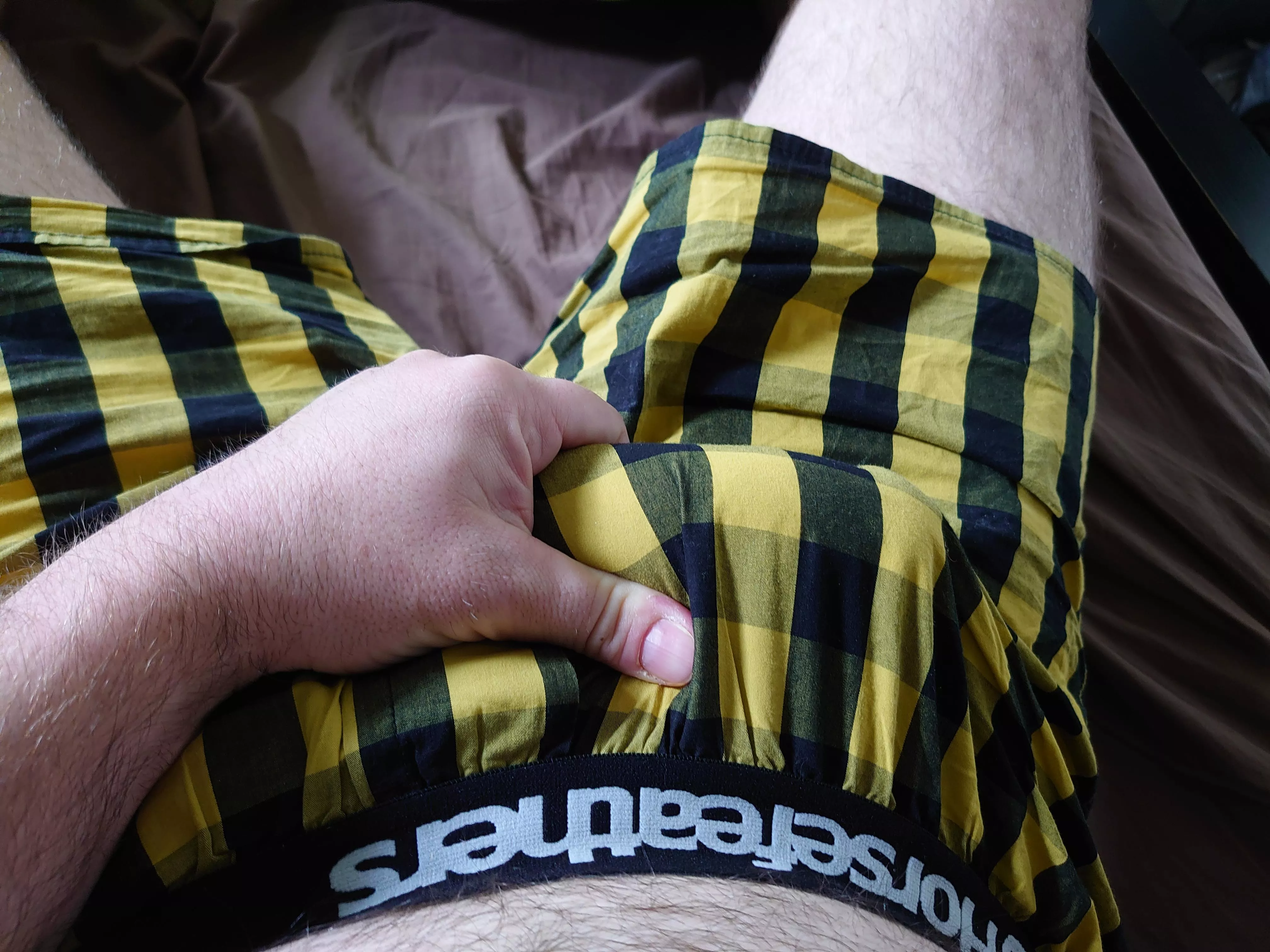 Yellow checked boxer shorts today posted by ProfessionalNo4166