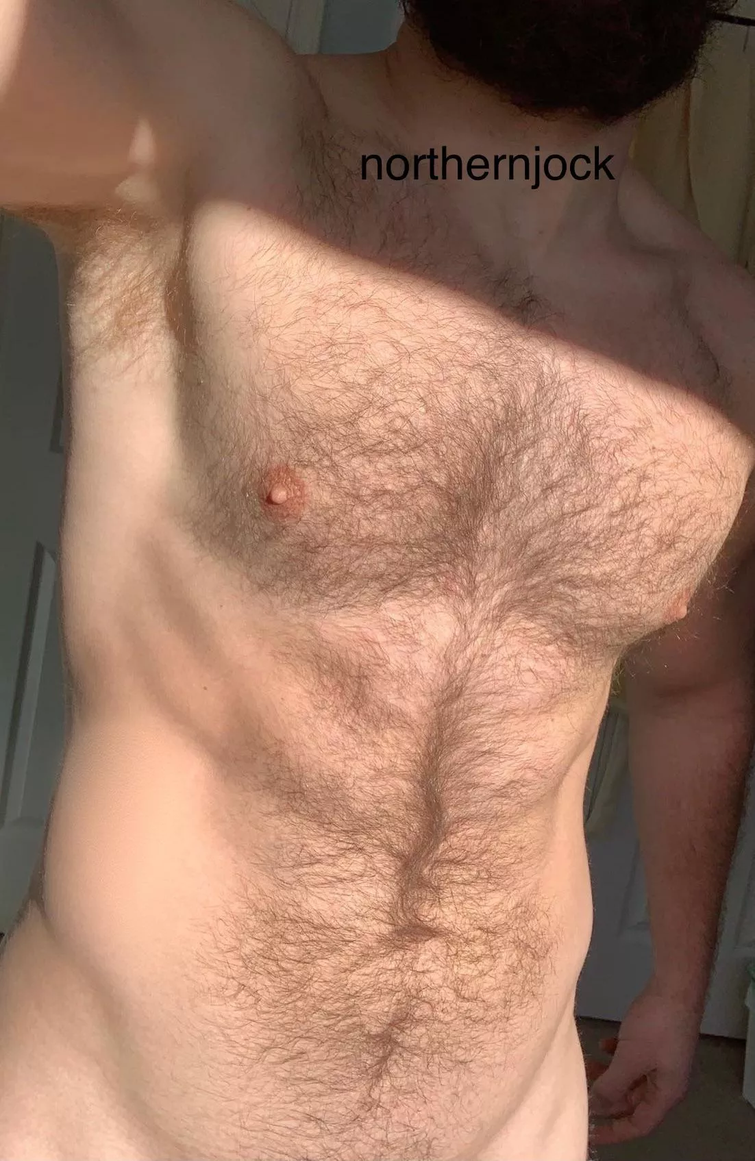 Yes, you may stroke my furry and muscular body posted by northernjock