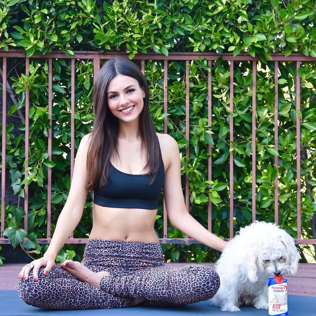 Yoga with doggo posted by mightbecute