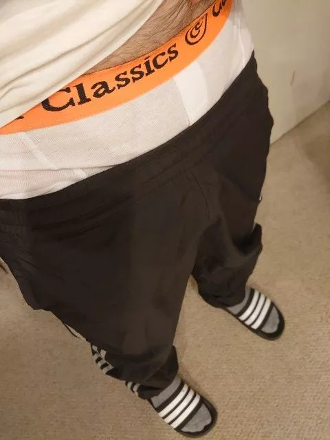 You know you're a scally when... Calvini classics boxers are better than CKs posted by ProfessionalNo4166