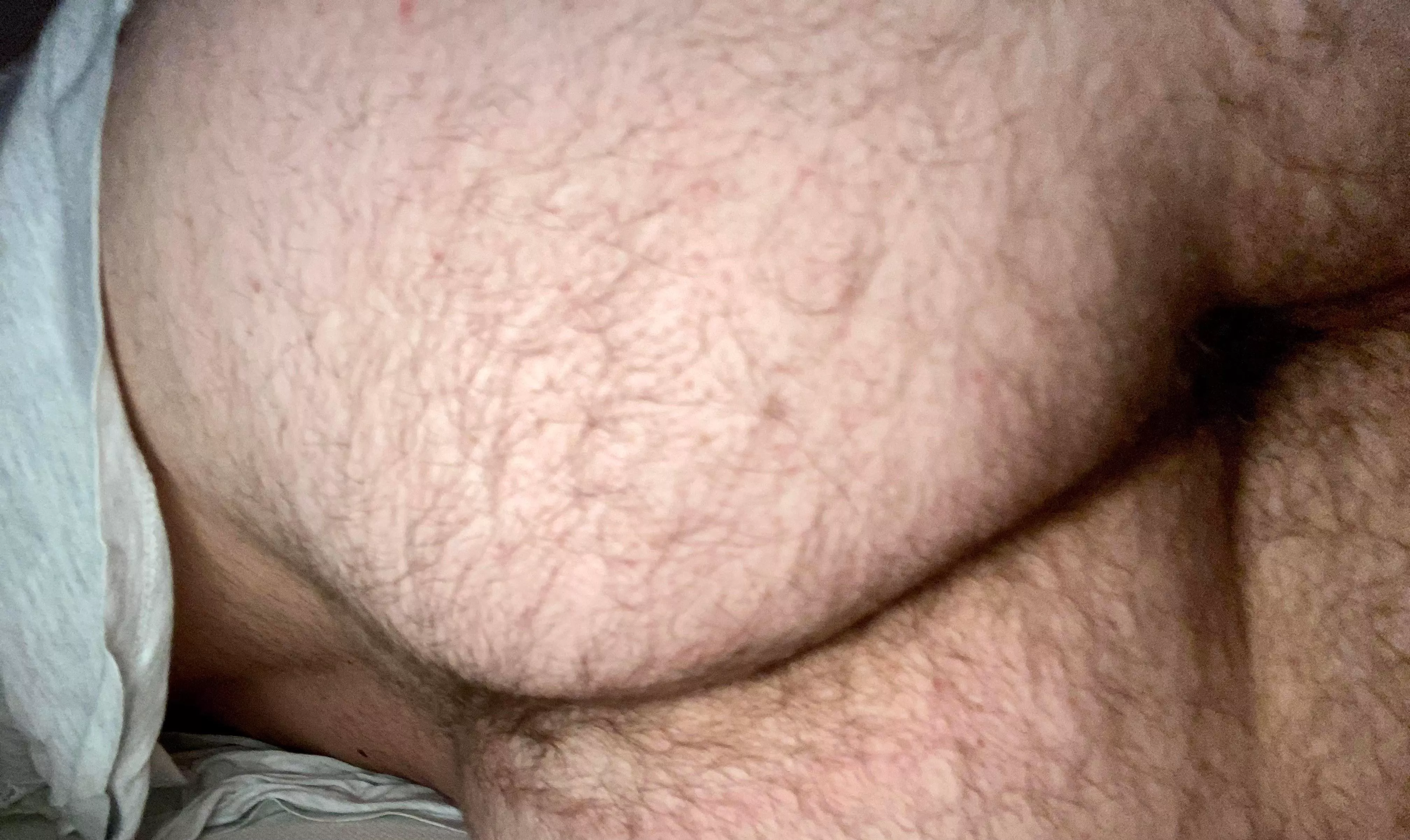 You like my hairy ass? posted by greibergerd