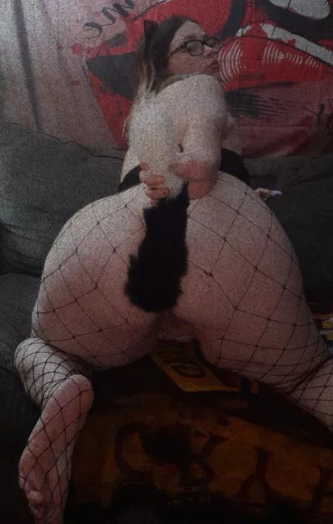 You wanna tug on my tail? posted by stonerchicforyou