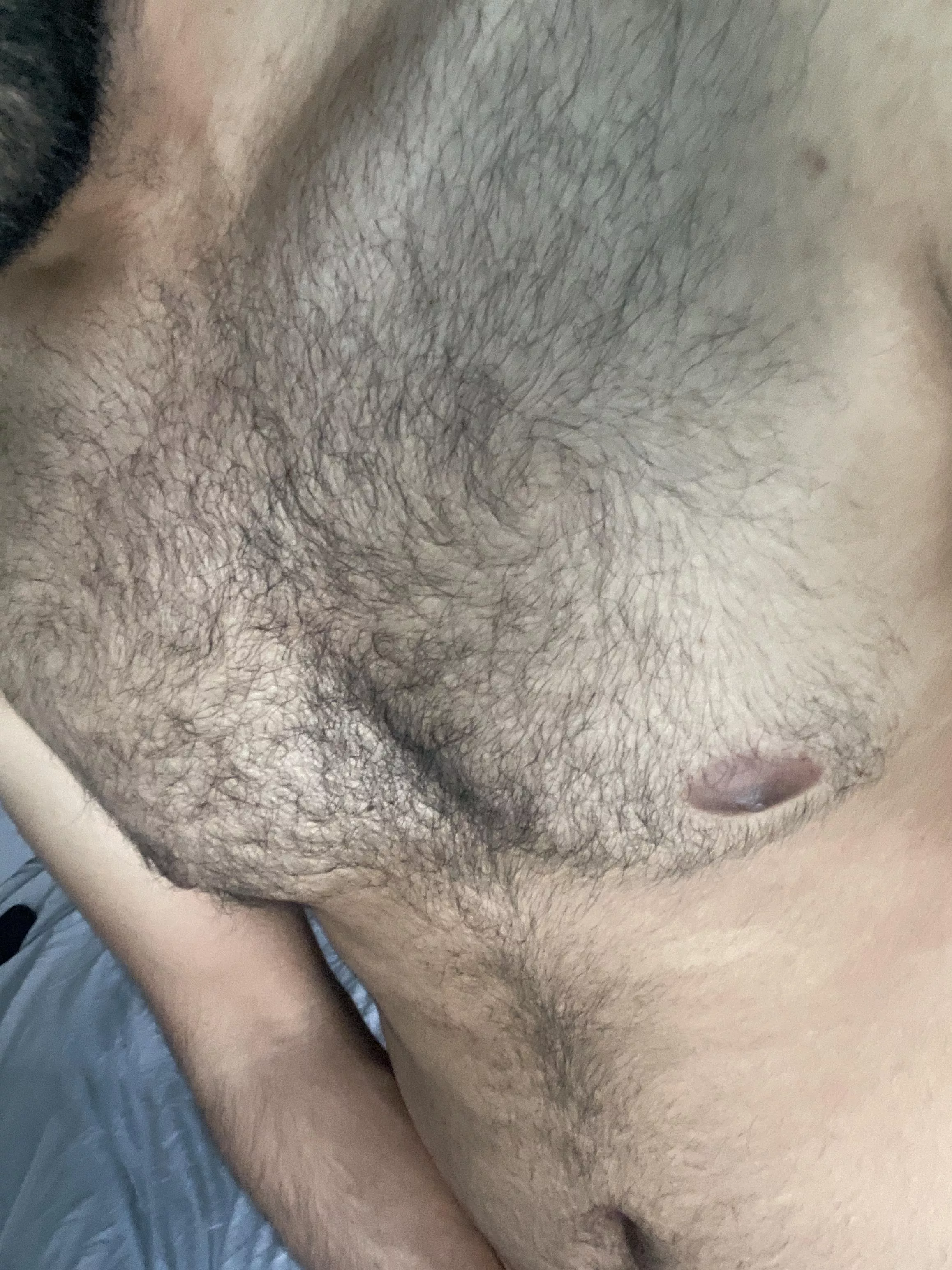 Young hairy chest posted by dudedck01