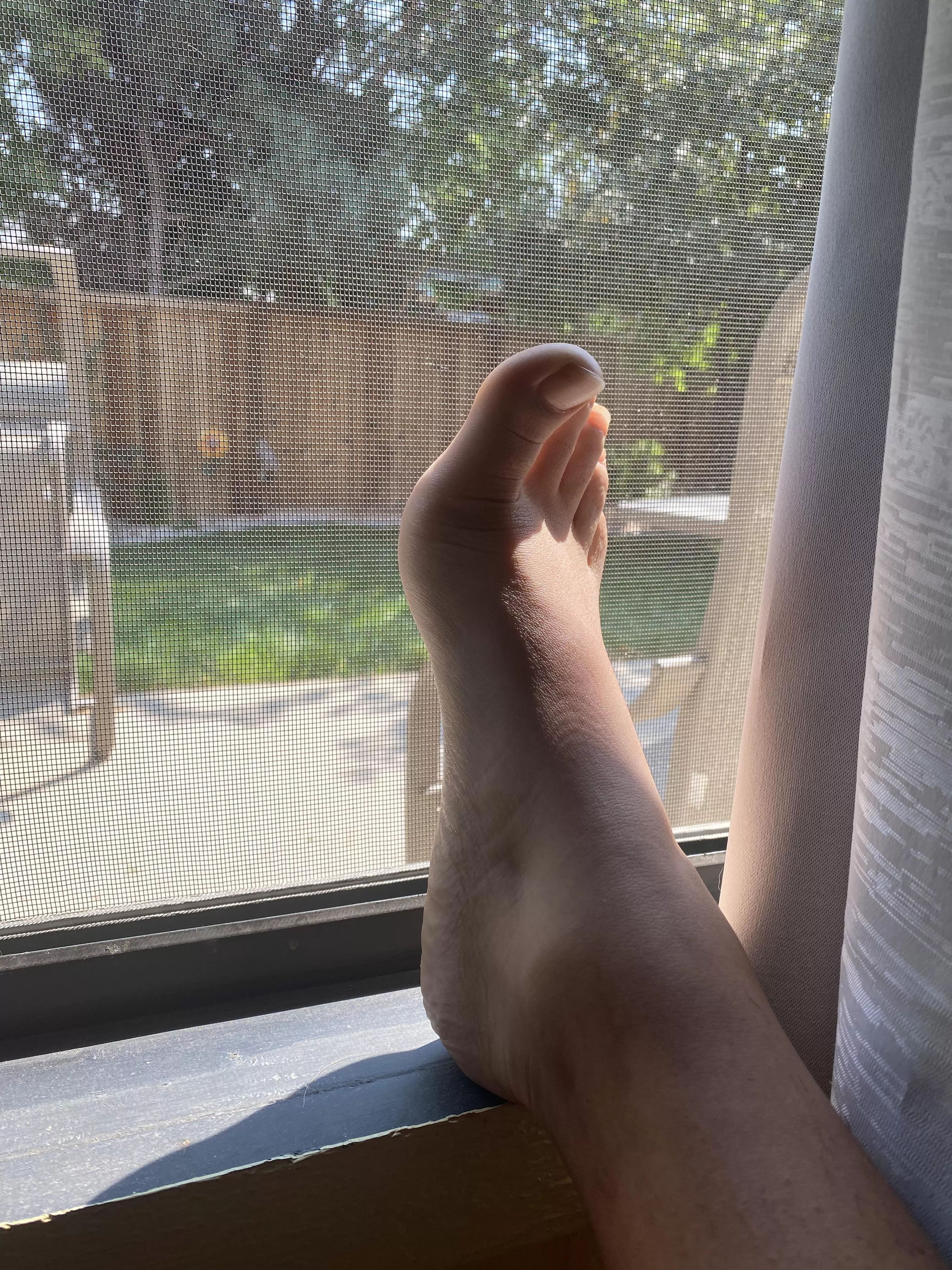 You’re working outside and I’m waiting inside with my tea teasing you with my toes 😘 posted by bad_lil_piggies