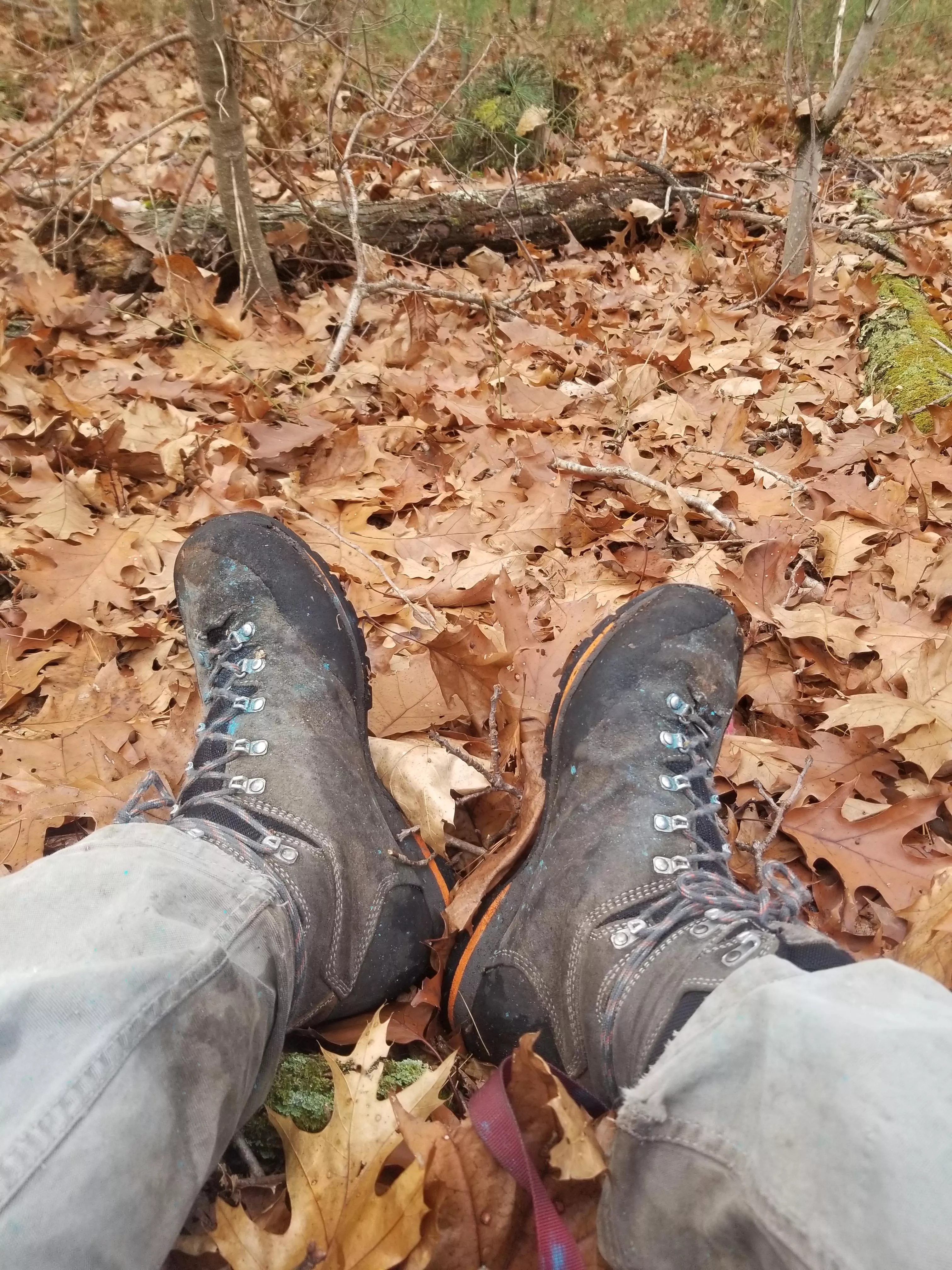 Zamberlan Baltoro lites: one new set of tread and over 2000 miles of hiking in the year I've owned them. Should get another year out of them no problem. As a forester and a avid hiker I really put boots through hell and these have my stamp of approval. posted by saucepan-_-