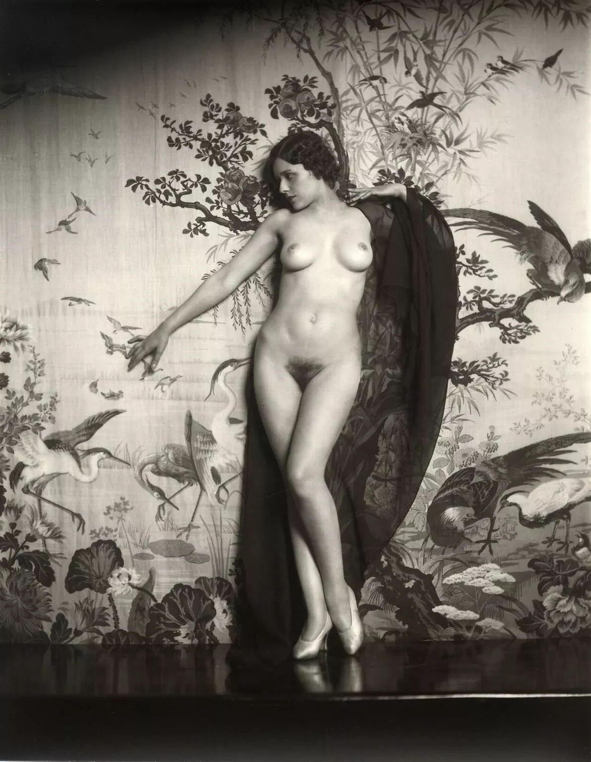 Ziegfeld girl Naomi Johnson by Alfred Cheney Johnston, 1920s posted by notbob1959